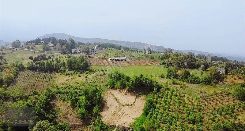 Şevketiye Mahallesinde 2850 M2 Tarla - Görsel 9