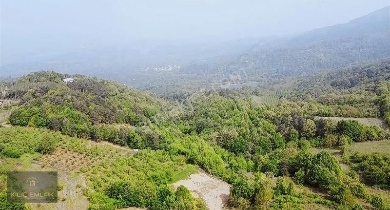 Şevketiye Mahallesinde 2850 M2 Tarla - Görsel 3