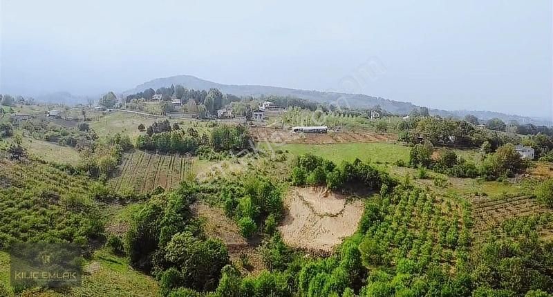 Şevketiye Mahallesinde 2850 M2 Tarla - Görsel 5