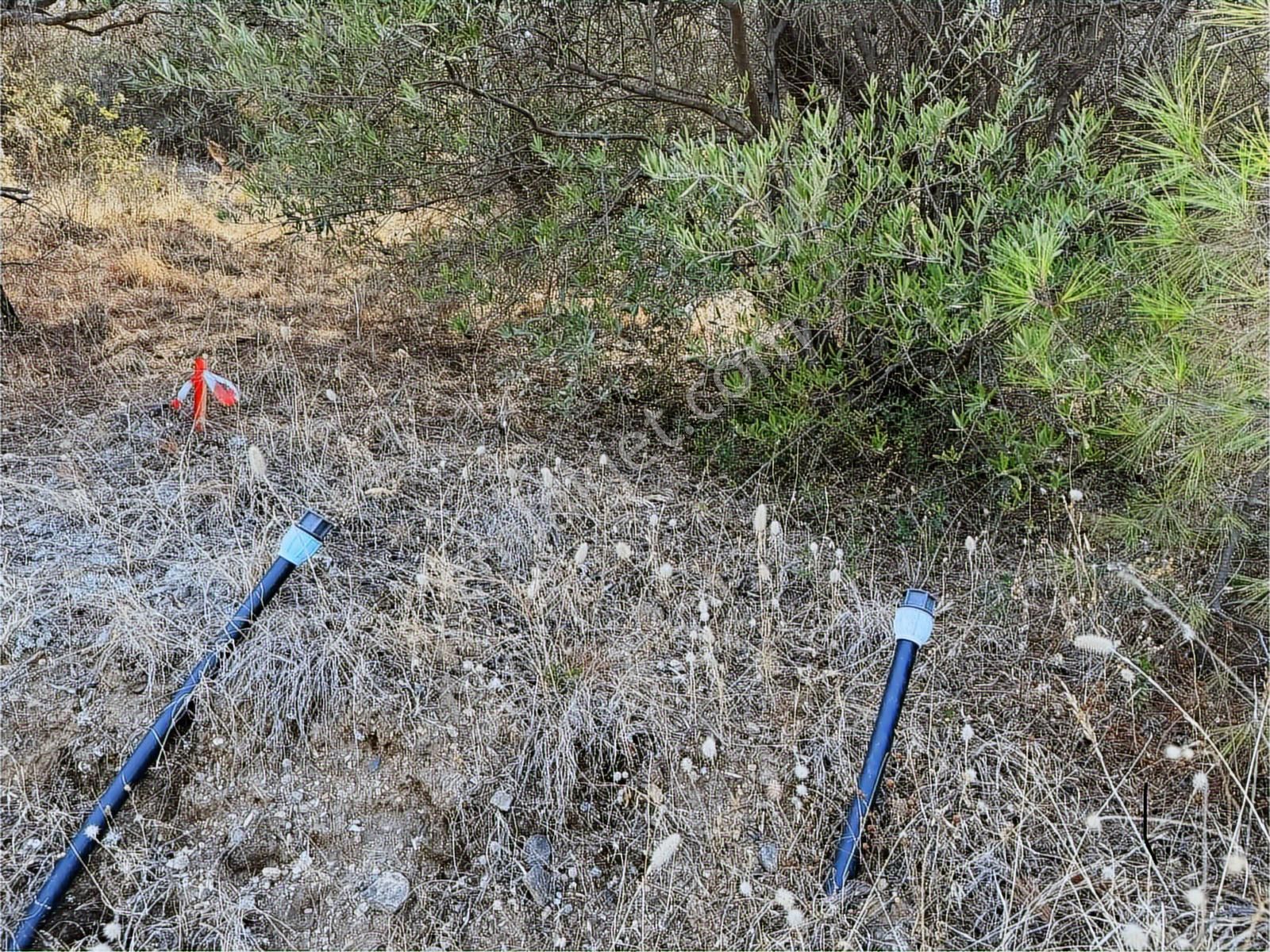 Novas Gayrimenkul'den Armutlu'da Satılık Villa İmarlı Arsa - Görsel 10