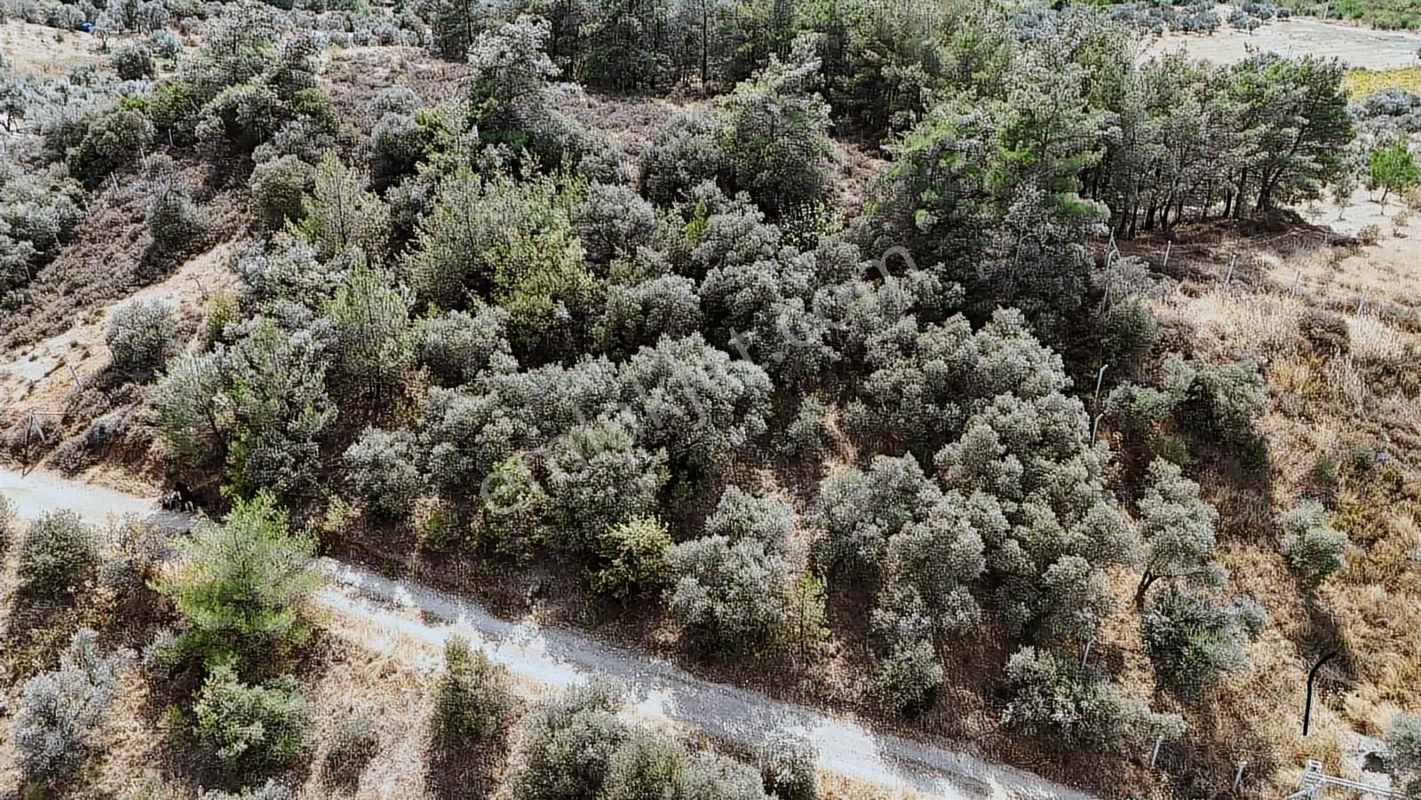 Novas Gayrimenkul'den Armutlu'da Satılık Villa İmarlı Arsa - Görsel 26