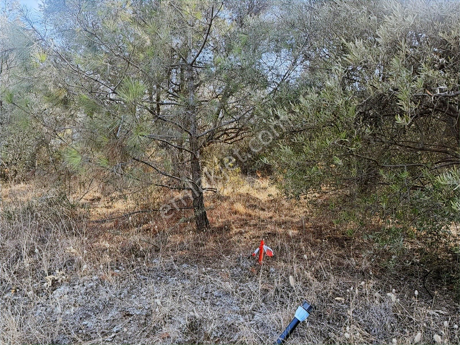 Novas Gayrimenkul'den Armutlu'da Satılık Villa İmarlı Arsa - Görsel 27