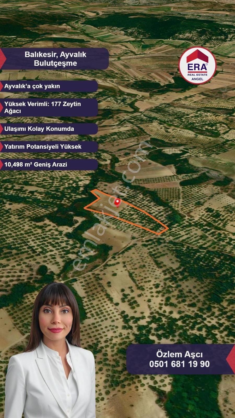 Era Angel'dan Ayvalıkta 177 Ağaçlı 10.500 M² Fırsat Zeytinlik! - Görsel 4