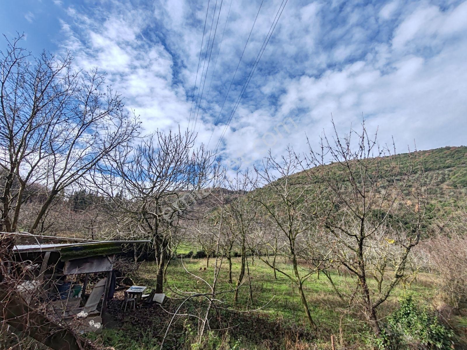 Arık Gayrimenkul'den Halıdere Körfez'de Yola Cephe 8.886m² Arazi - Görsel 16