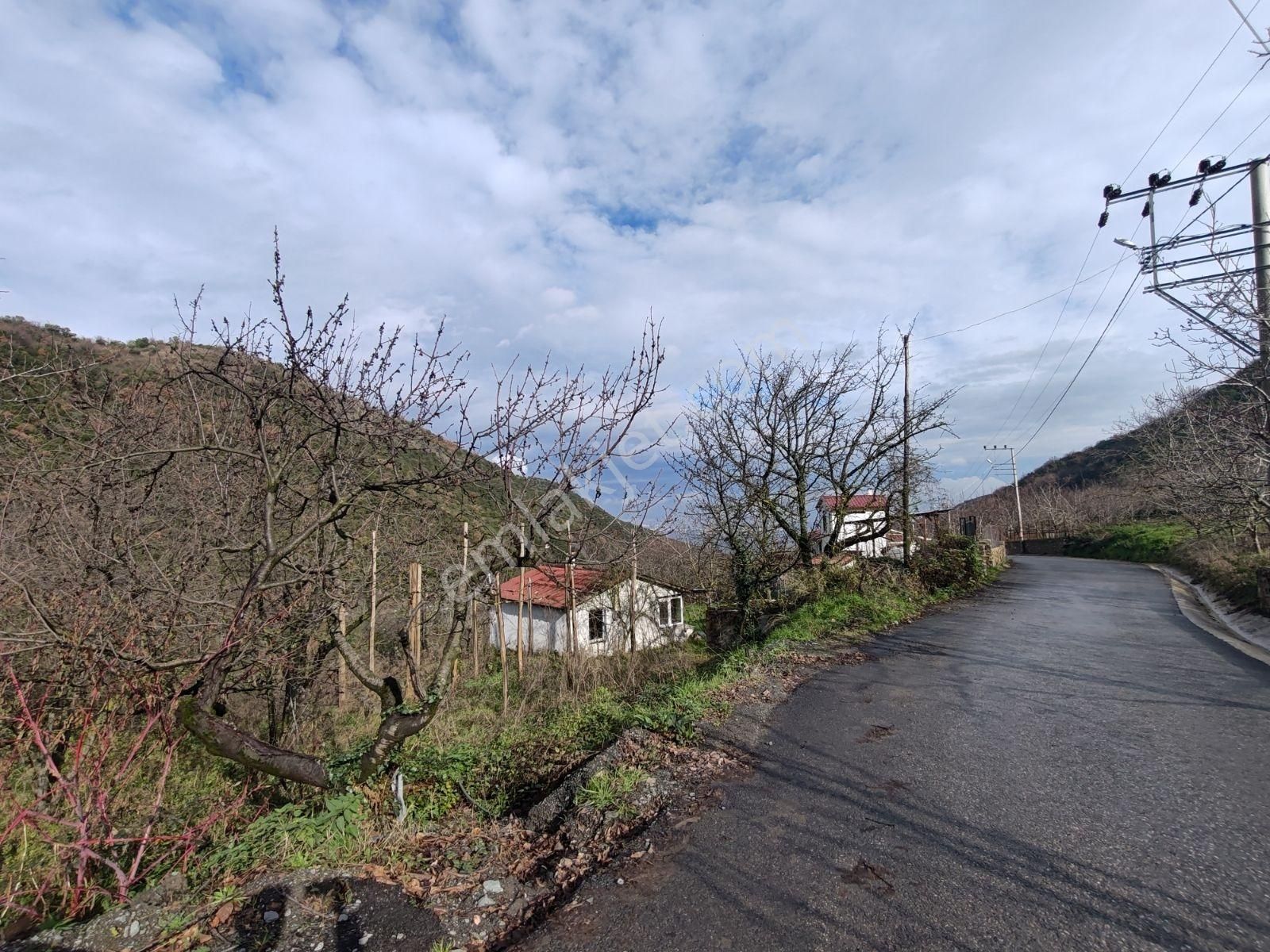 Arık Gayrimenkul'den Halıdere Körfez'de Yola Cephe 8.886m² Arazi - Görsel 15