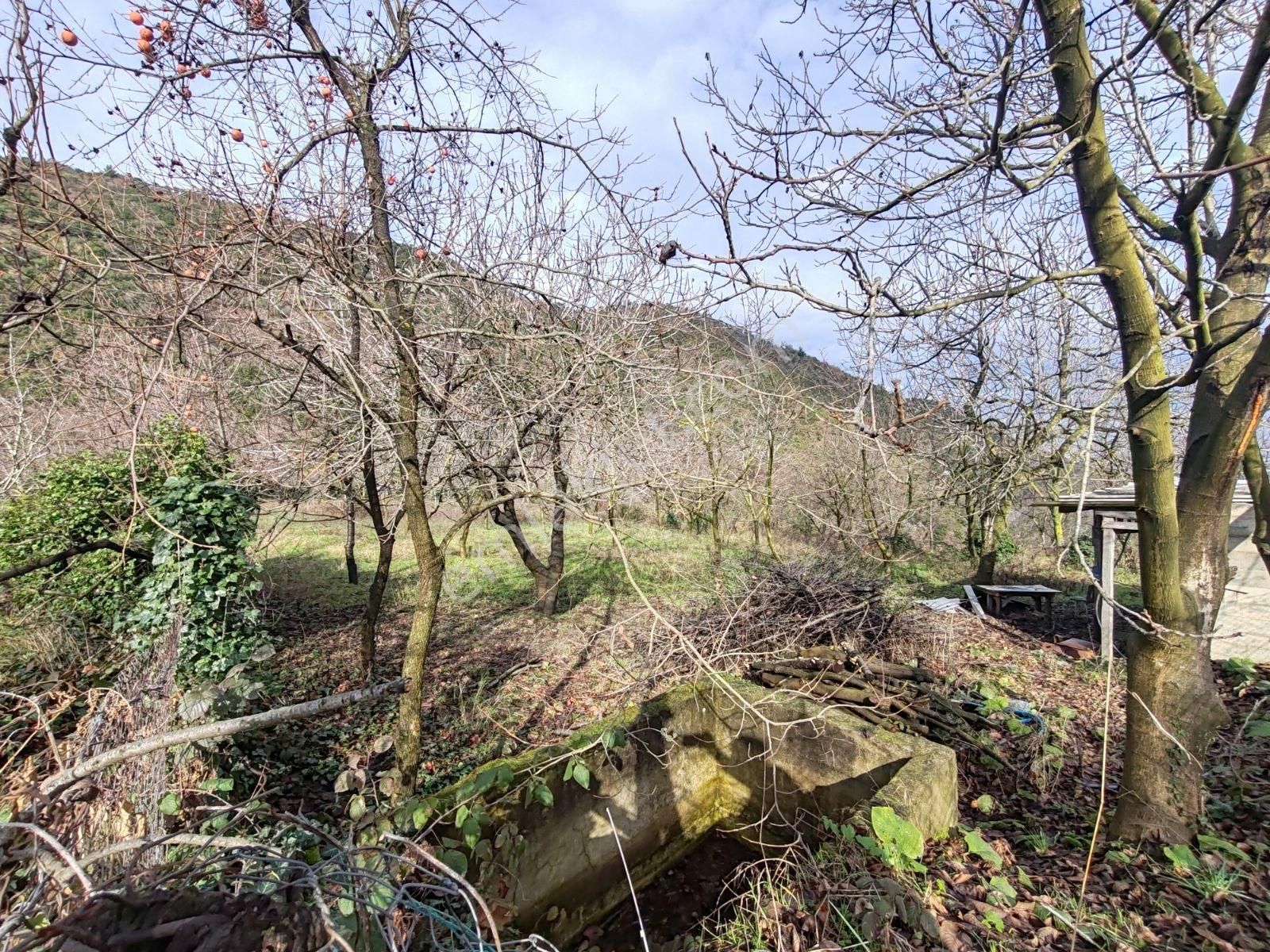 Arık Gayrimenkul'den Halıdere Körfez'de Yola Cephe 8.886m² Arazi - Görsel 2