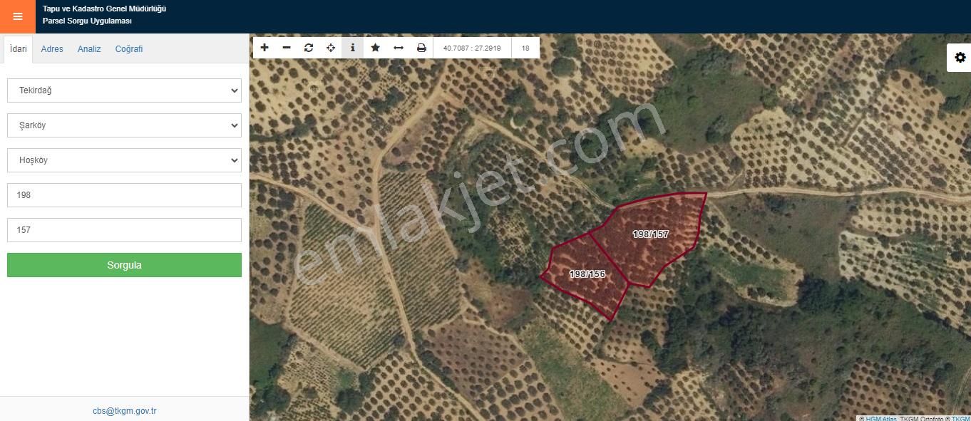 Tekirdağ Şarköy Hoşköy Mahallesi Satılık Zeytinlik - Görsel 14