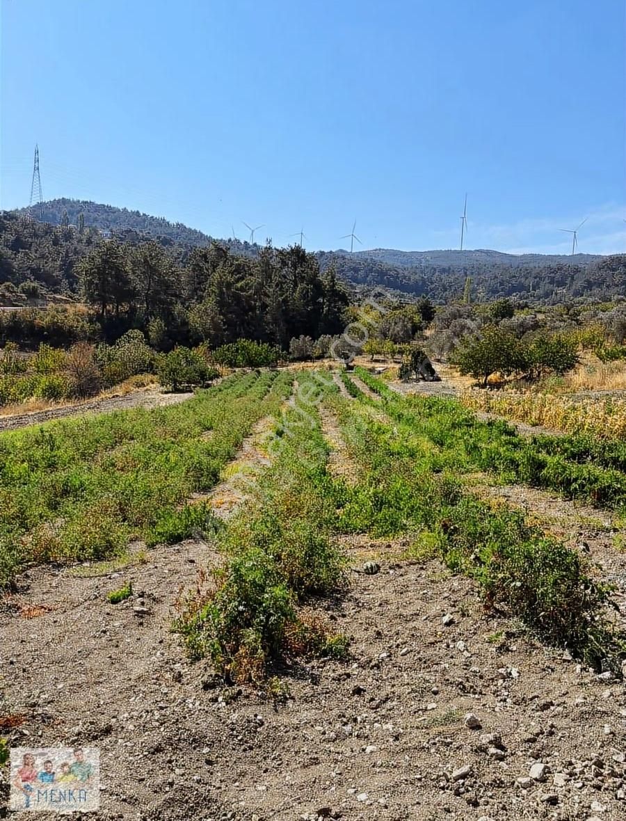 Manisa Karakoca'da 9.194 M2 İmara Yakın Uygun Fiyatlı Tarla - Görsel 4