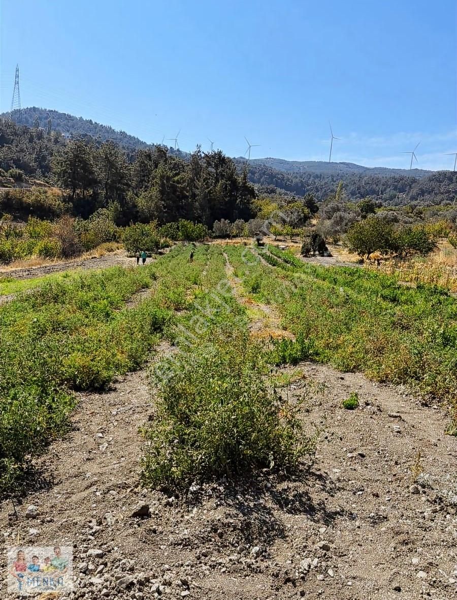 Manisa Karakoca'da 9.194 M2 İmara Yakın Uygun Fiyatlı Tarla - Görsel 25