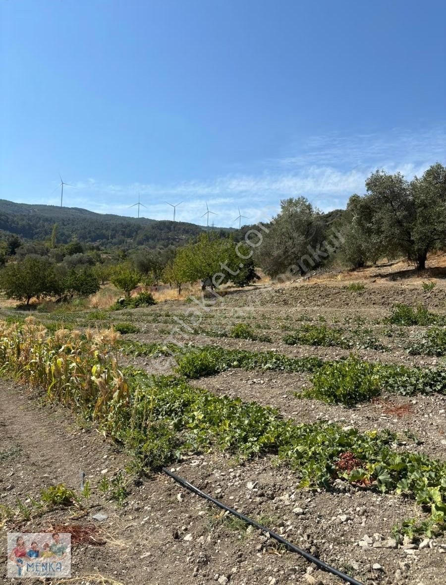 Manisa Karakoca'da 9.194 M2 İmara Yakın Uygun Fiyatlı Tarla - Görsel 2