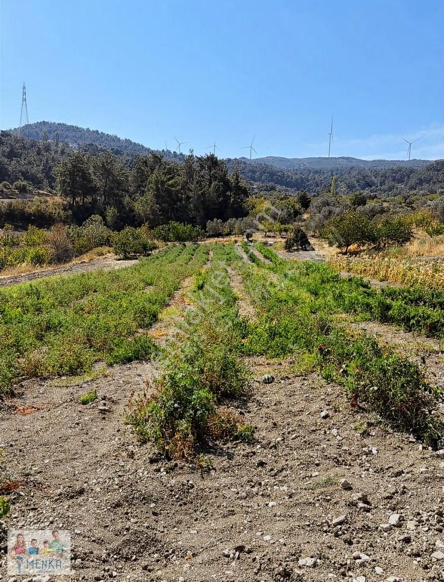 Manisa Karakoca'da 9.194 M2 İmara Yakın Uygun Fiyatlı Tarla - Görsel 24