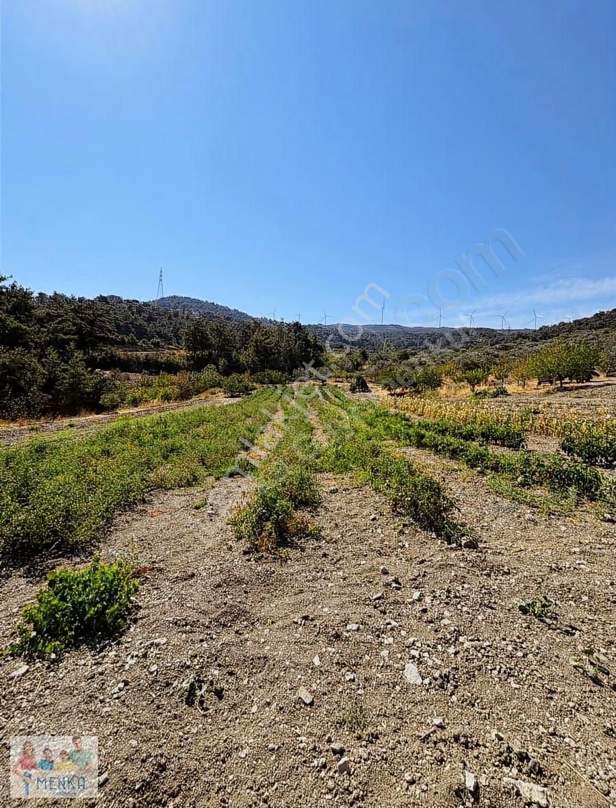 Manisa Karakoca'da 9.194 M2 İmara Yakın Uygun Fiyatlı Tarla - Görsel 11