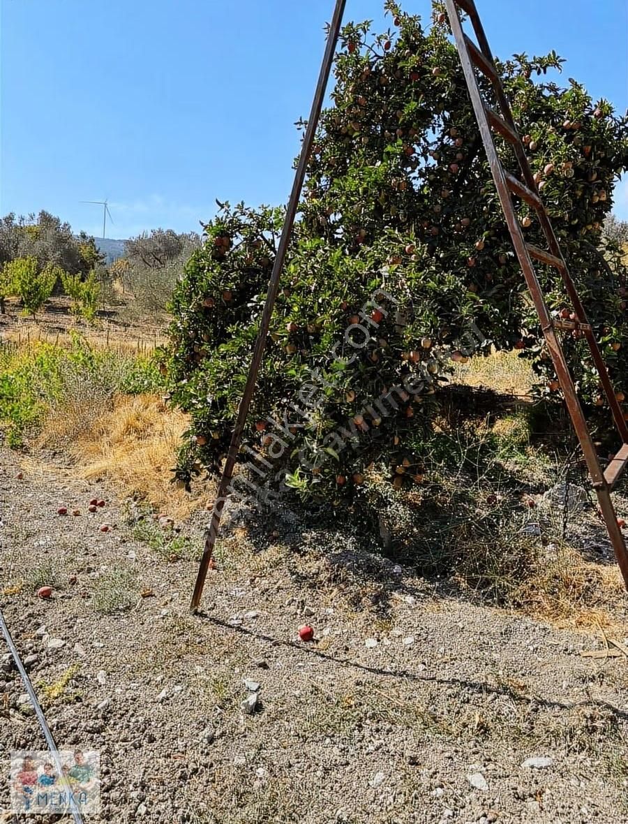 Manisa Karakoca'da 9.194 M2 İmara Yakın Uygun Fiyatlı Tarla - Görsel 12