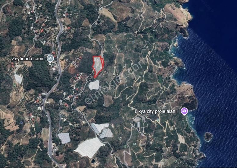 Denizi Ve Tarımsal Kullanımıyla Değerli Yatırımlık Tarla - Görsel 9