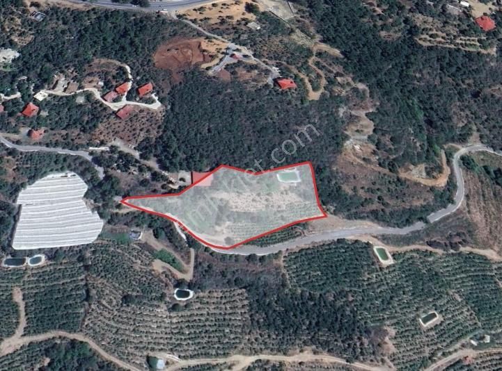 Denizi Ve Tarımsal Kullanımıyla Değerli Yatırımlık Tarla - Görsel 10