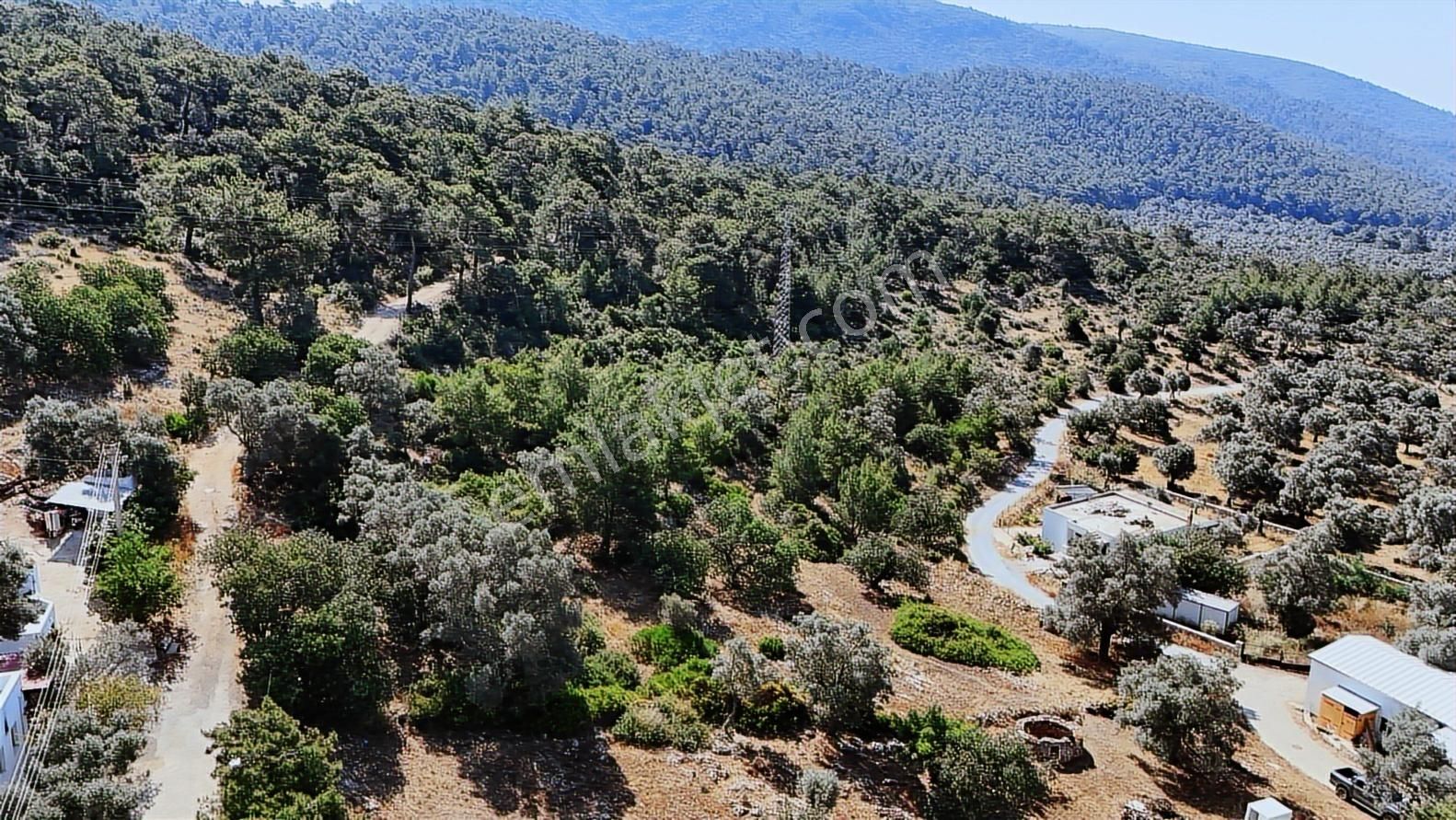 Bodrum Kızılağaç Mevkiinde 5.501 M2 Lik Arsa - Görsel 2