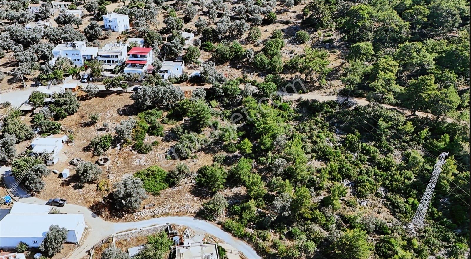 Bodrum Kızılağaç Mevkiinde 5.501 M2 Lik Arsa - Görsel 5