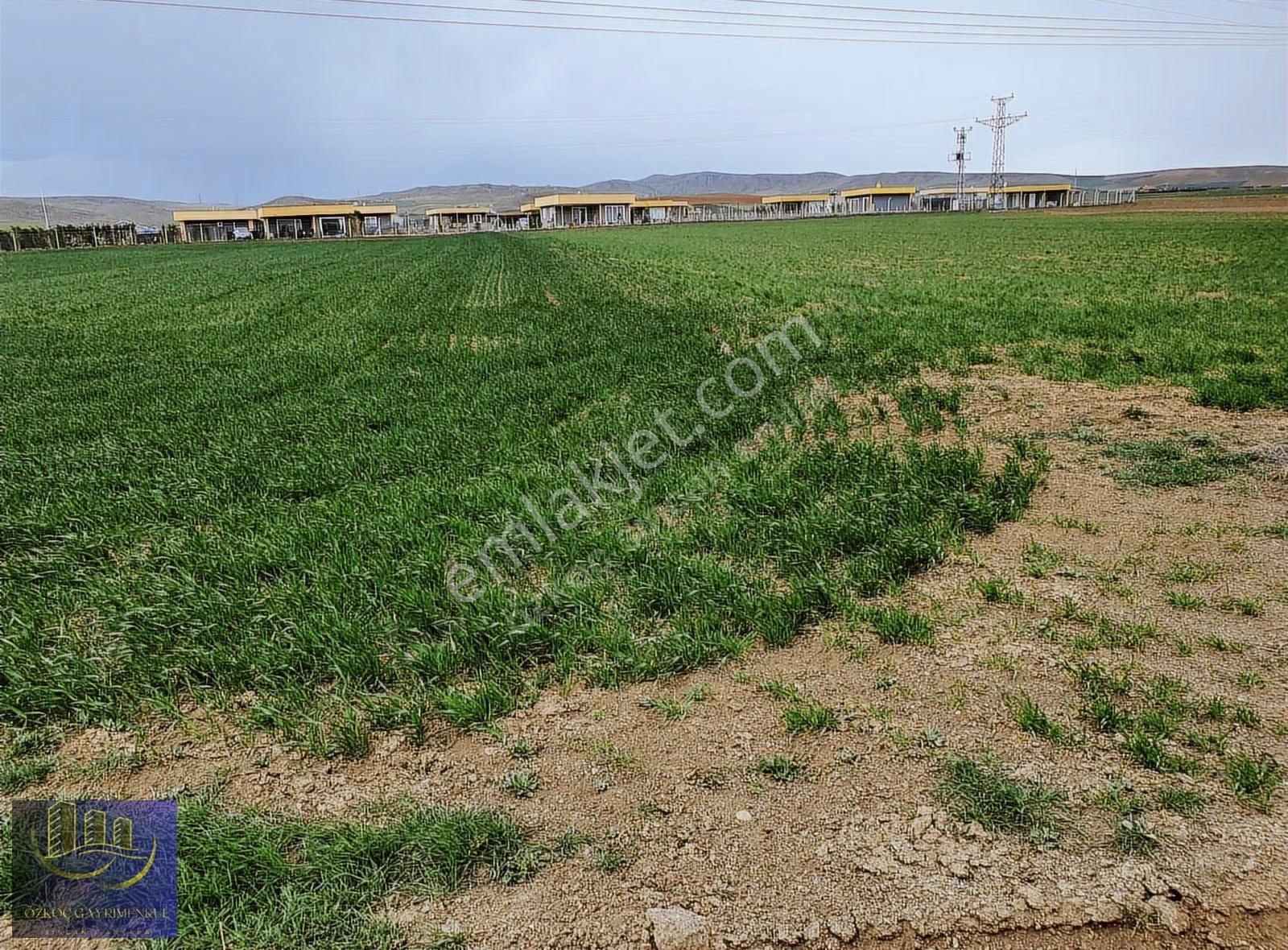 Sincan Temelli Tek Tapu İmarlı 603m2 Emsalsiz Fiyat - Görsel 10