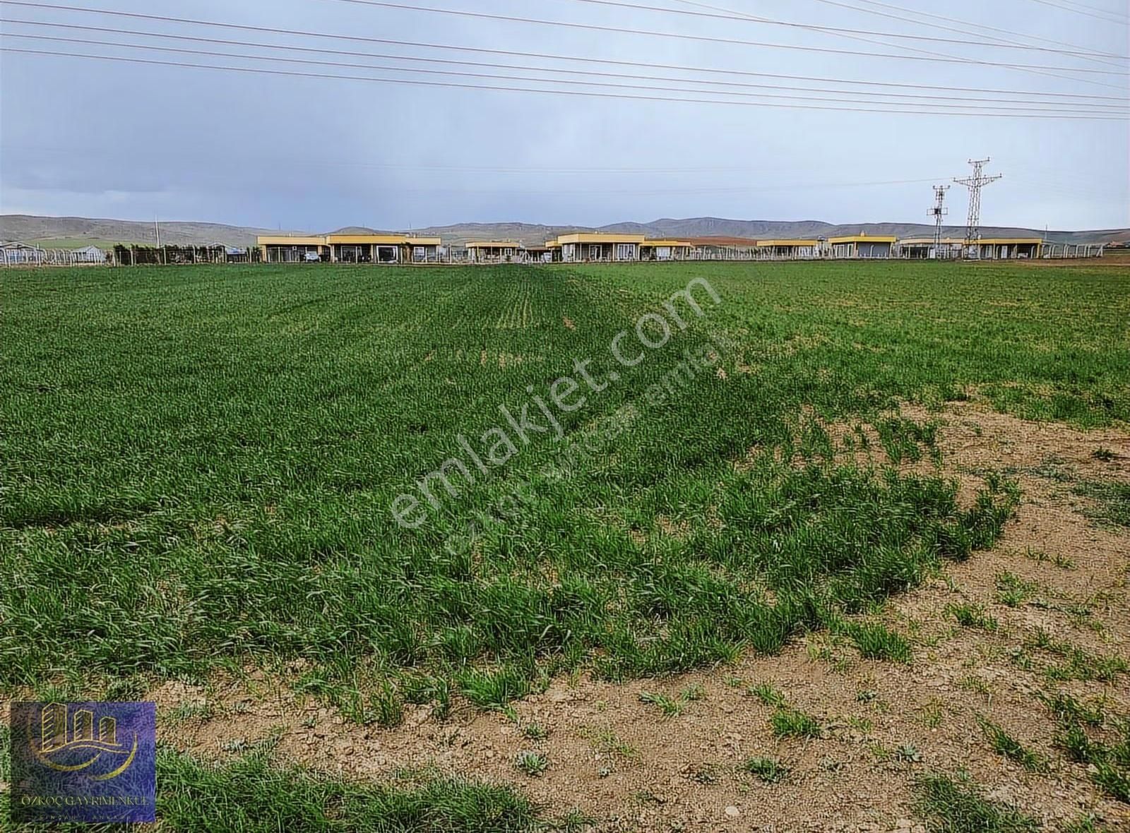 Sincan Temelli Tek Tapu İmarlı 603m2 Emsalsiz Fiyat - Görsel 6