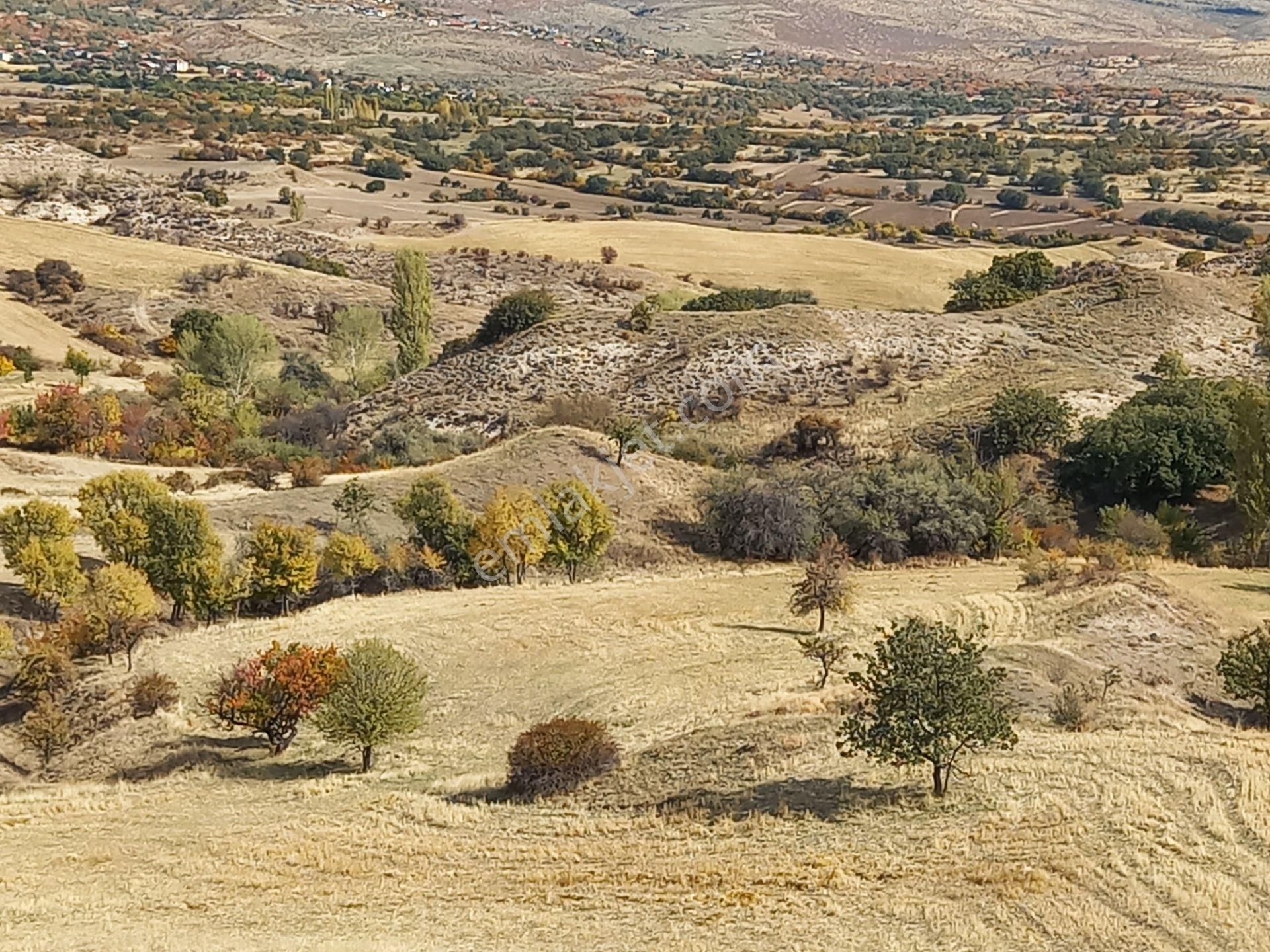 Elif Gayrimenkul Den Beypazarı Uruş Mahallesinde Uygun Fiyata Tek Tapu Tarla - Görsel 4