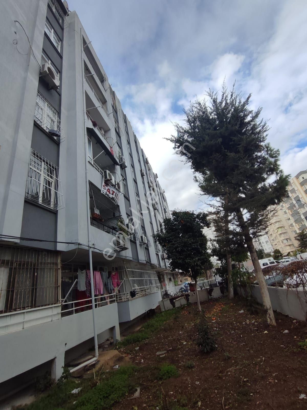 Mavi Bulvar İnan Dondurma Civarı Satılık - Görsel 4