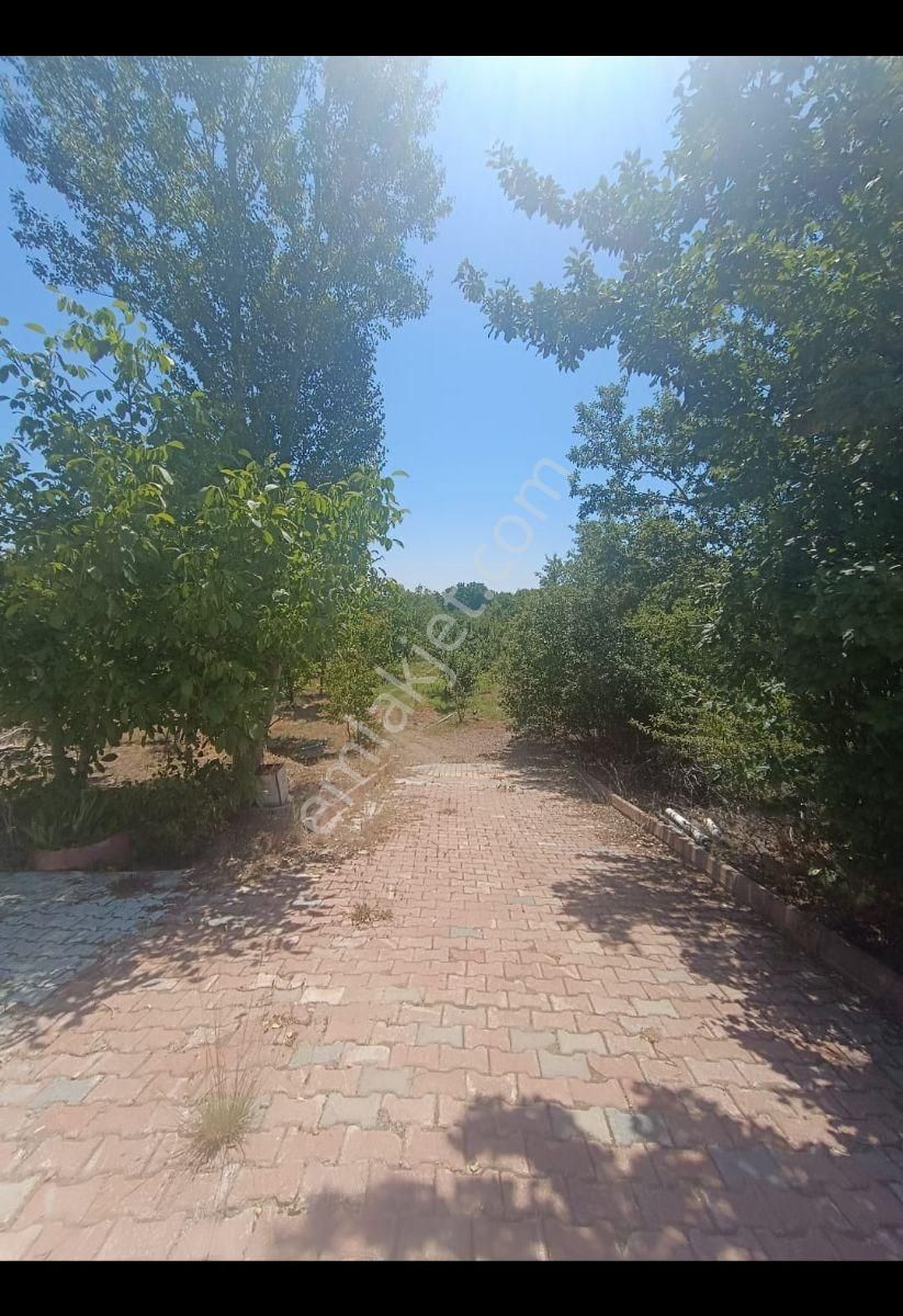 Ilgın Bulcuk Yolu Üzerinde Ev Bahçe Elektrik Su Mevcut - Görsel 3