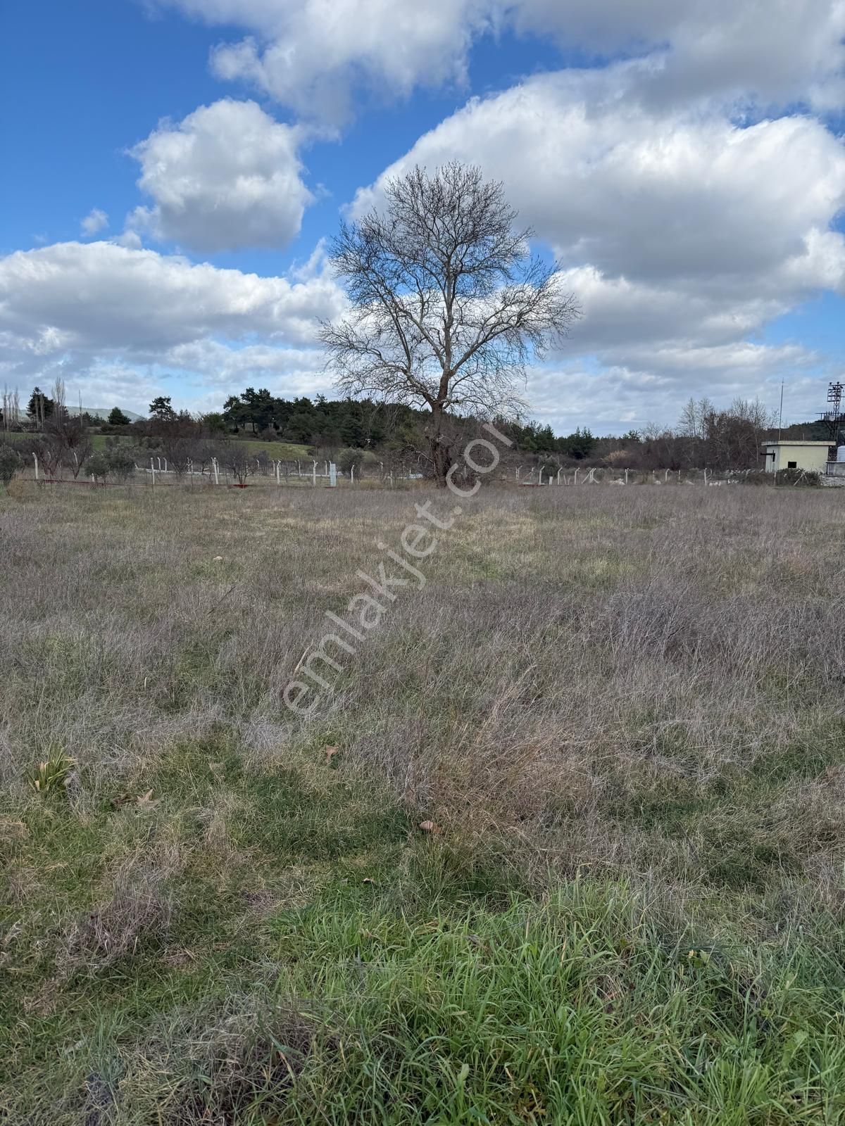 Emin'den Menderes Yeniköy Bahçecik Mevkii Yola Yakın Tarla - Görsel 12