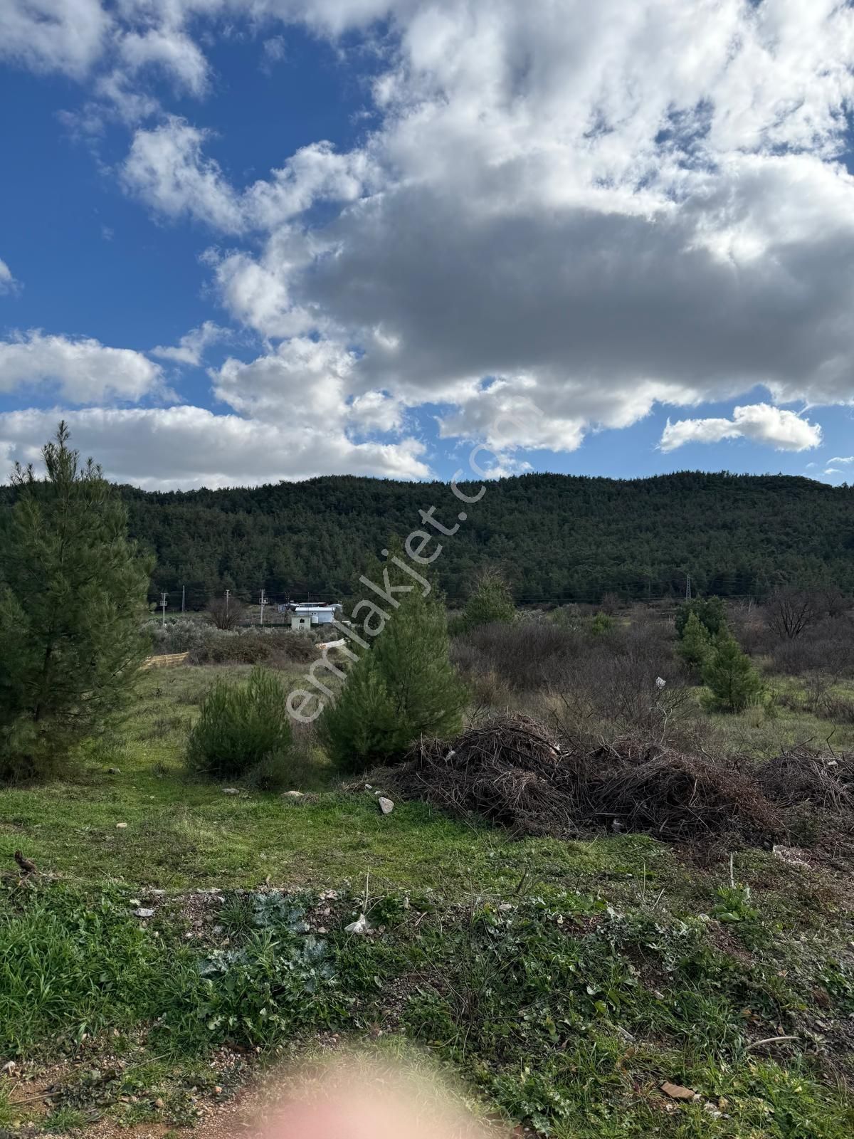 Emin'den Menderes Yeniköy Bahçecik Mevkii Yola Yakın Tarla - Görsel 4