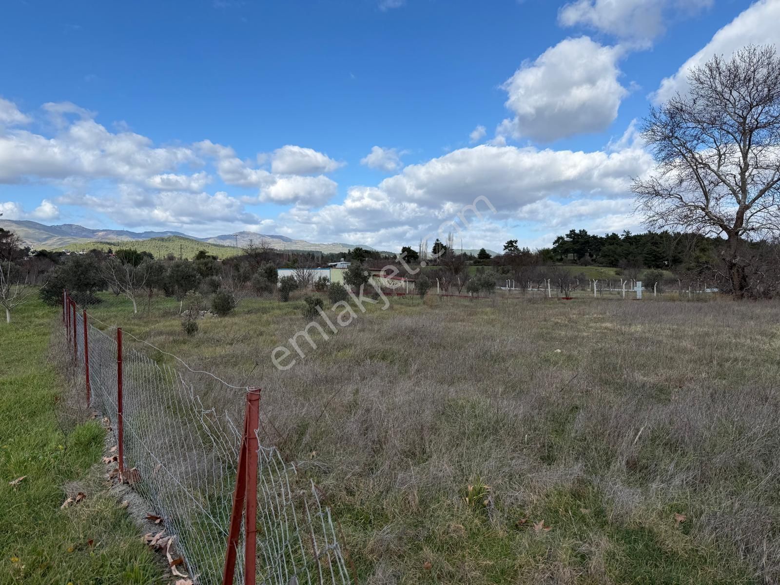 Emin'den Menderes Yeniköy Bahçecik Mevkii Yola Yakın Tarla - Görsel 7