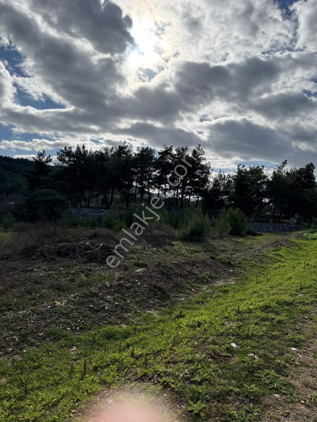 Emin'den Menderes Yeniköy Bahçecik Mevkii Yola Yakın Tarla - Görsel 24