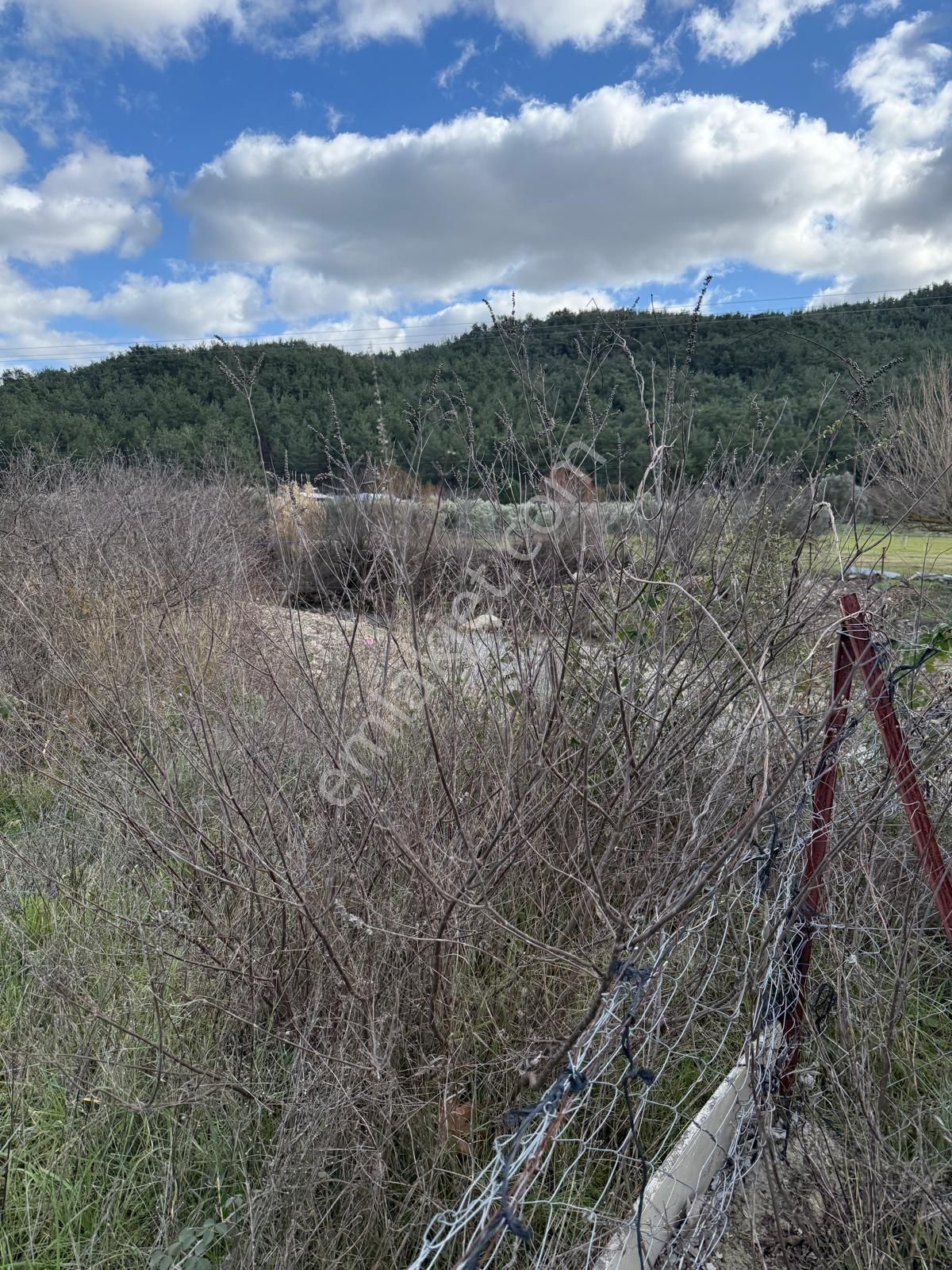 Emin'den Menderes Yeniköy Bahçecik Mevkii Yola Yakın Tarla - Görsel 23