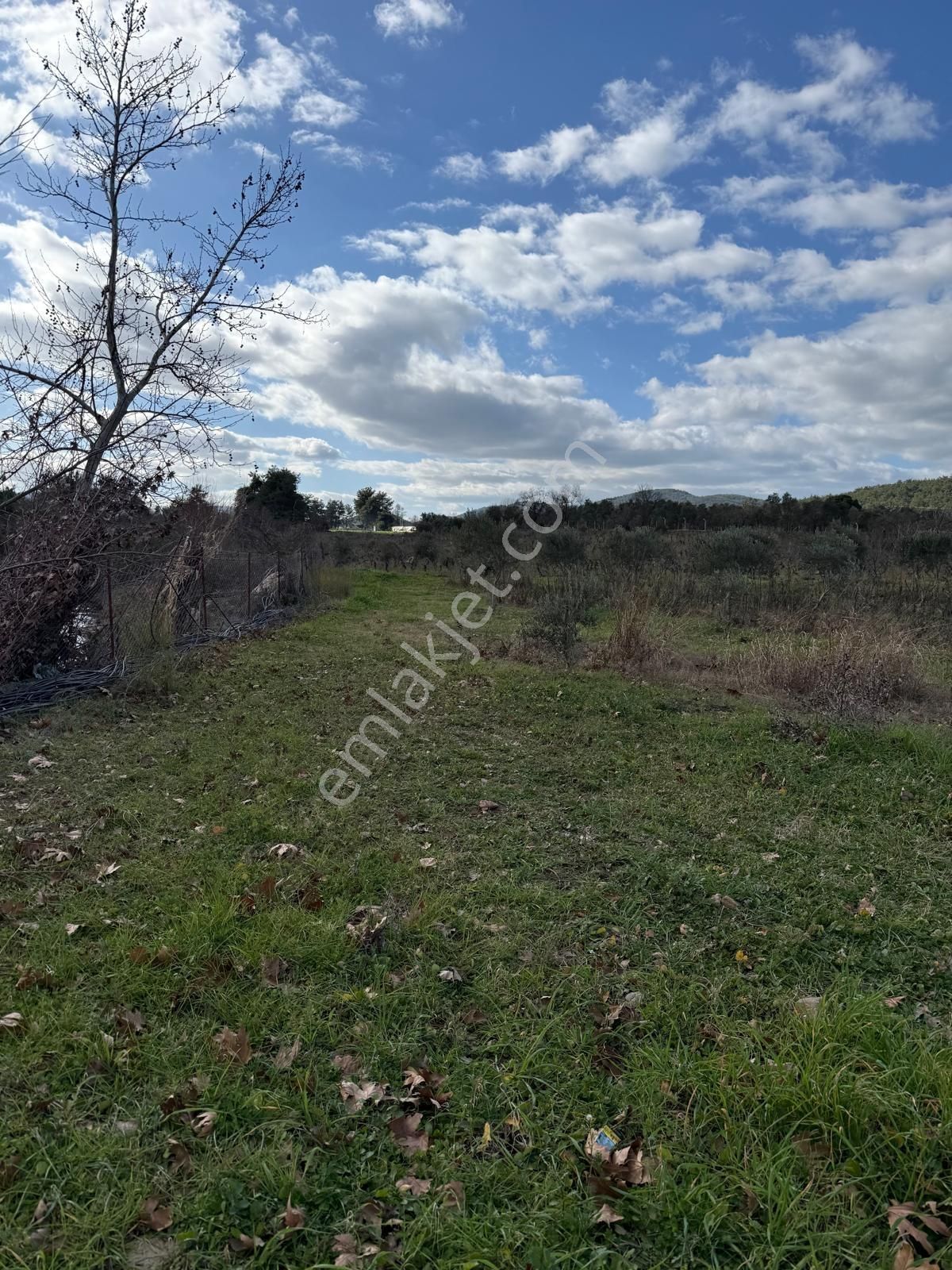 Emin'den Menderes Yeniköy Bahçecik Mevkii Yola Yakın Tarla - Görsel 16