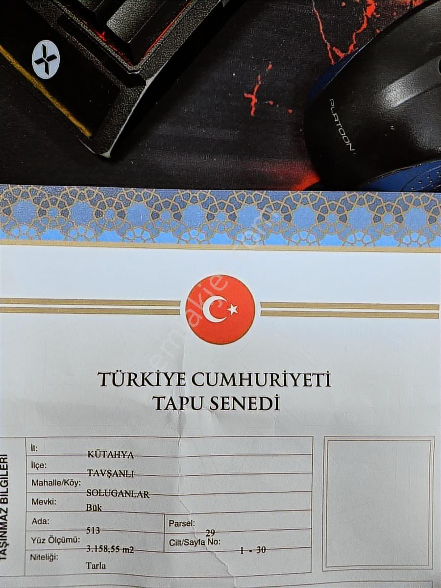 Kütahya Tavşanlı-balıköy Asfalt Üzeri 3158m2 Satılık - Görsel 6