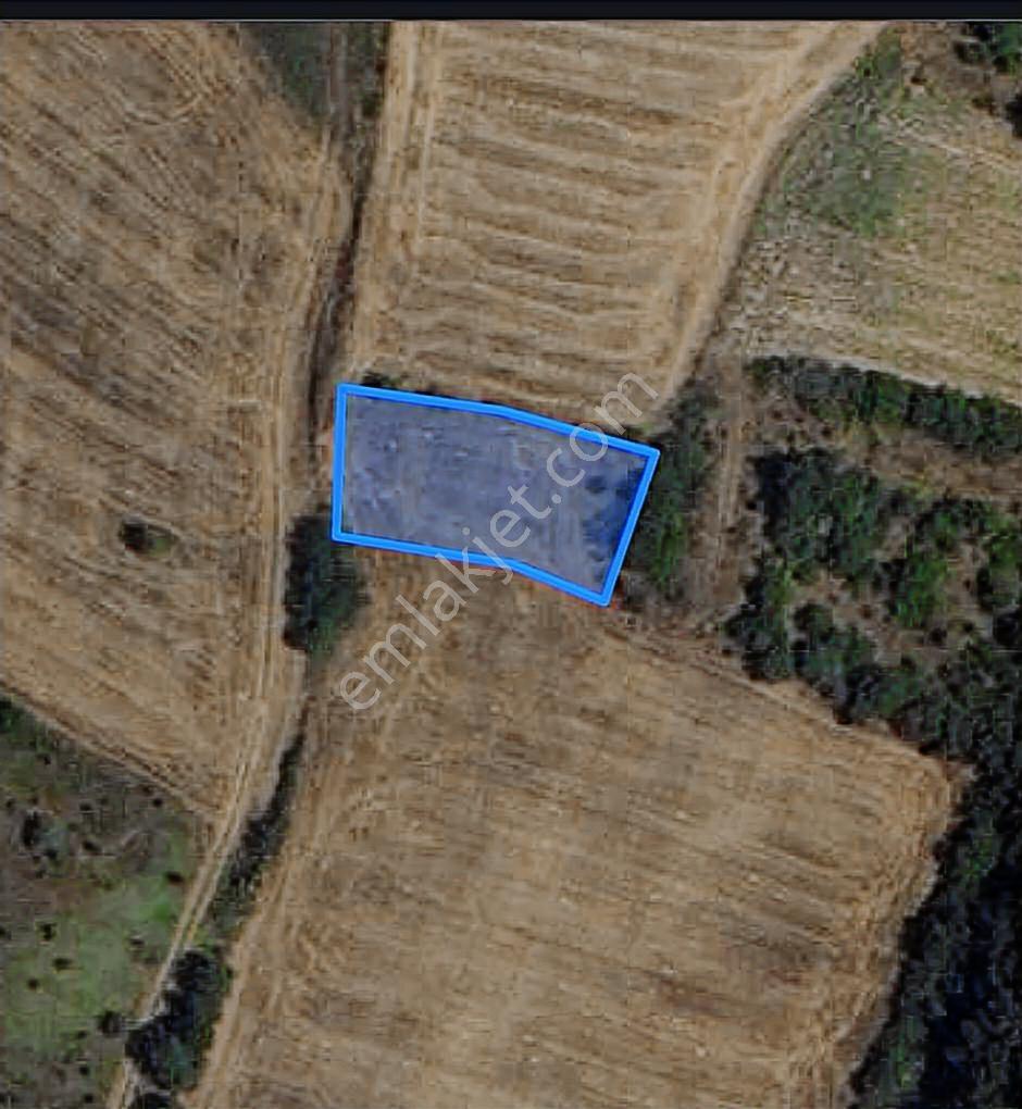 Hayrabolu Hedeyli Köyünde 1100 M2 Tek Tapu Tarla - Görsel 4