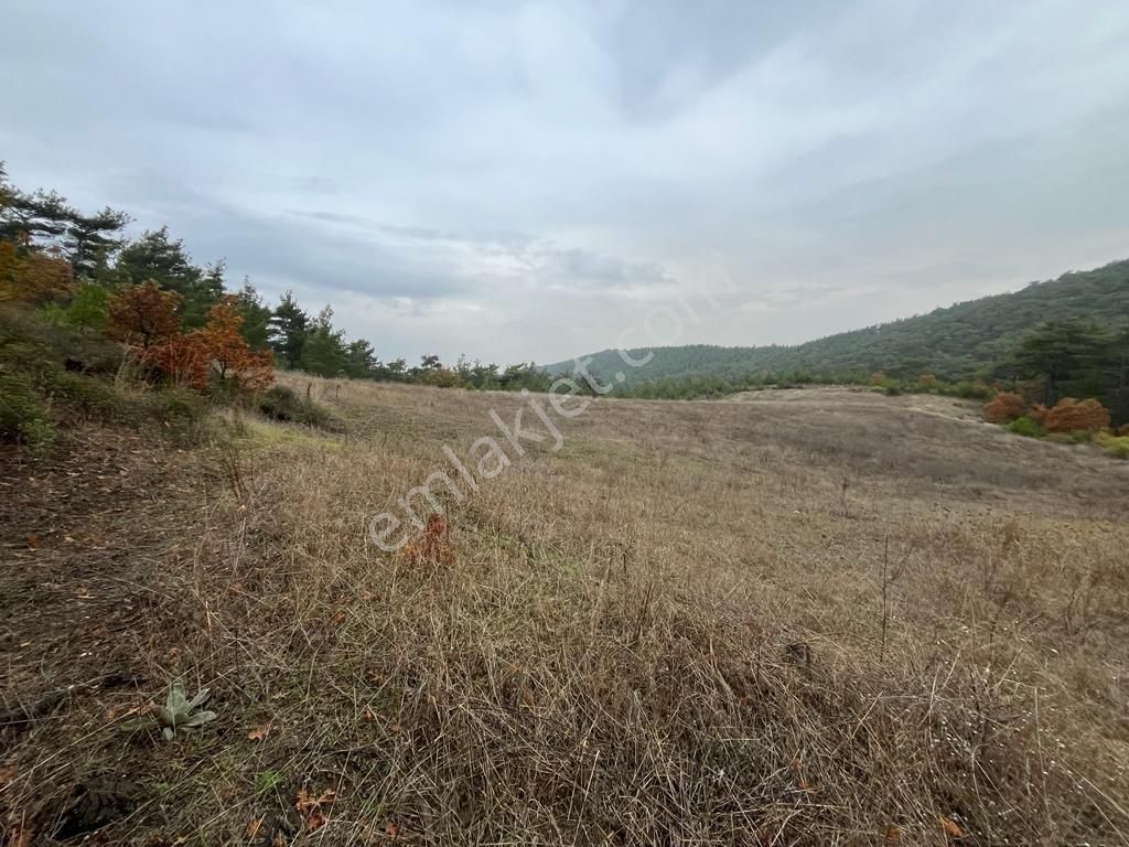 Turyap'tan Dondurma'da Otoban Gişelerine Komşu Yatırımlık Cazip - Görsel 2