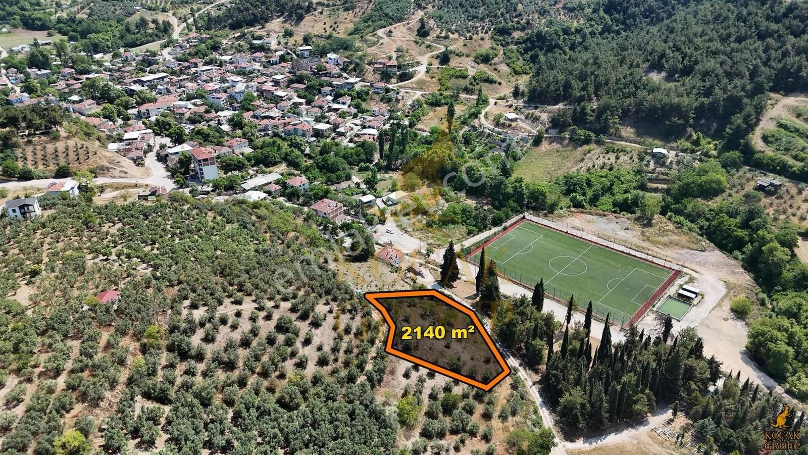 Koçak Group'tan Dereköy'de Yatırımlık Zeytinlik - Görsel 4