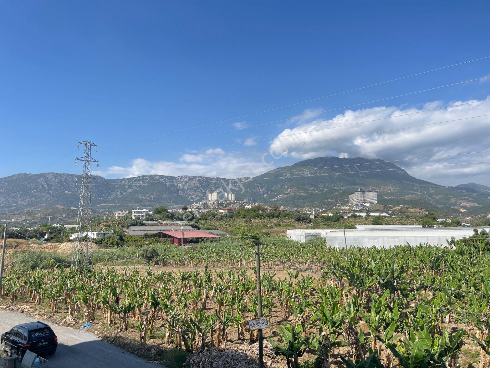 Alanya Kargıcakta Anahtar Teslim Sıfır 1+1 Geniş Daire! - Görsel 7