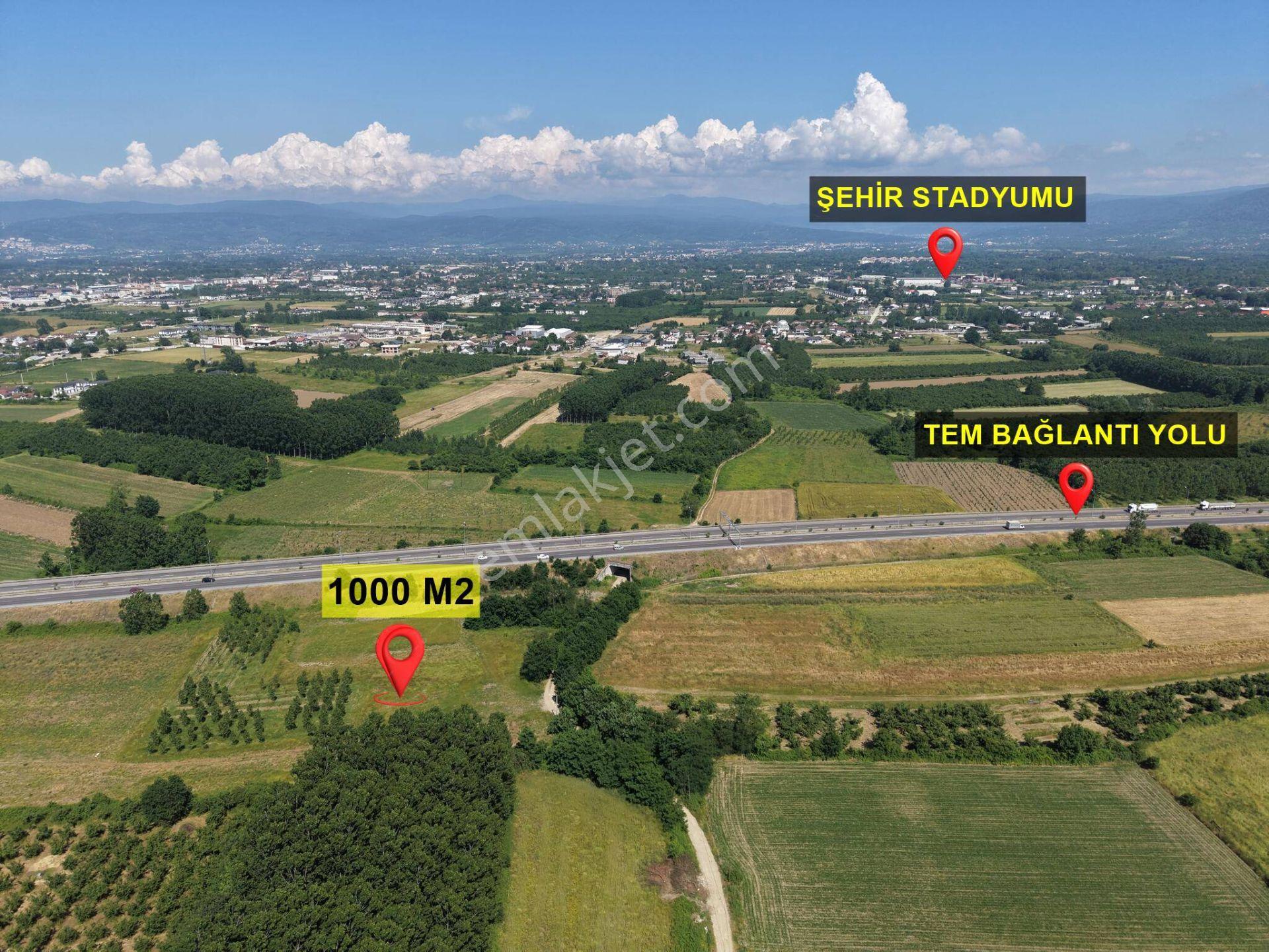 Darıcı Mahallesi'nde 1000 M2 Satılık Arsa - Görsel 5