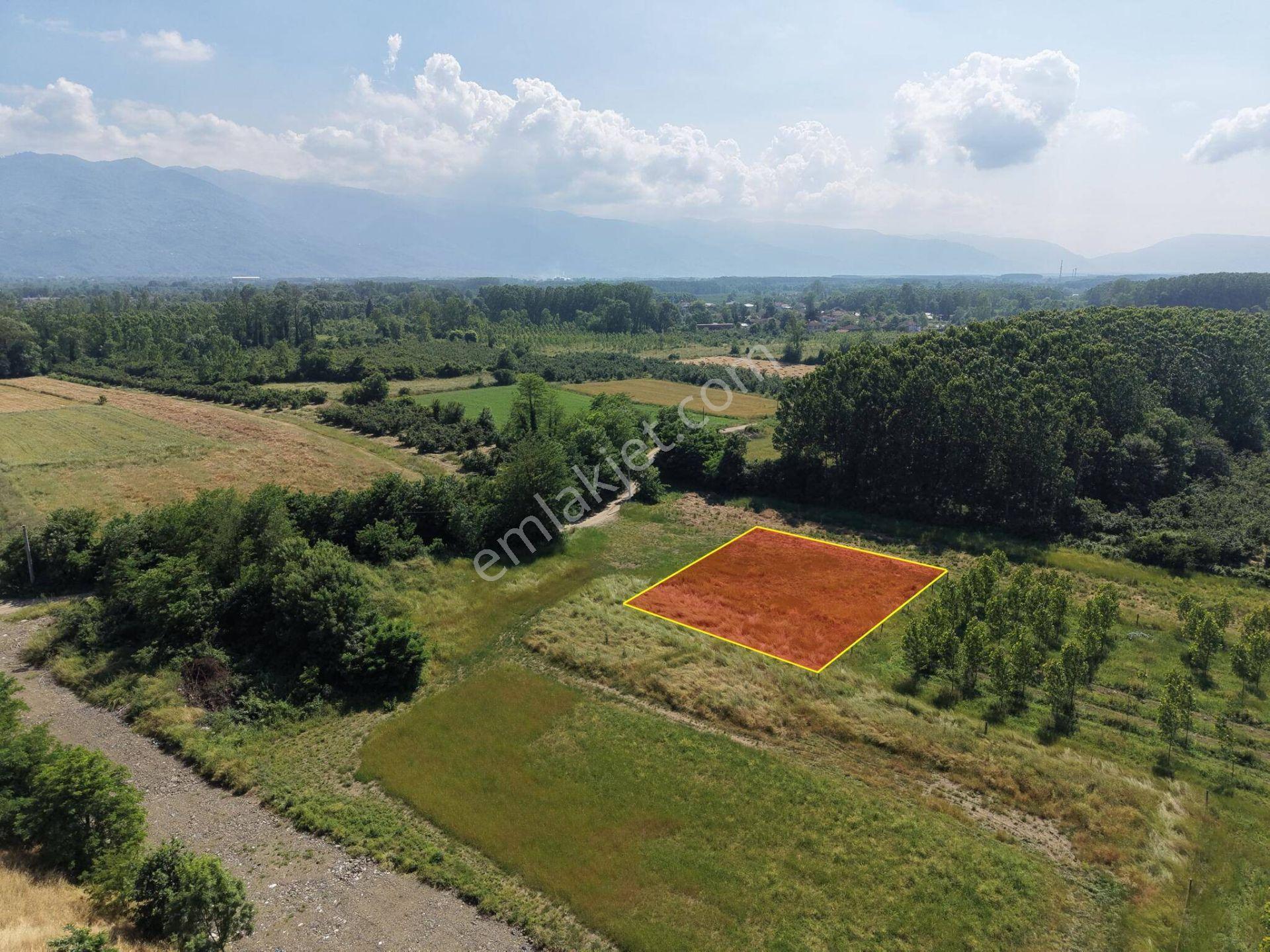 Darıcı Mahallesi'nde 1000 M2 Satılık Arsa - Görsel 3