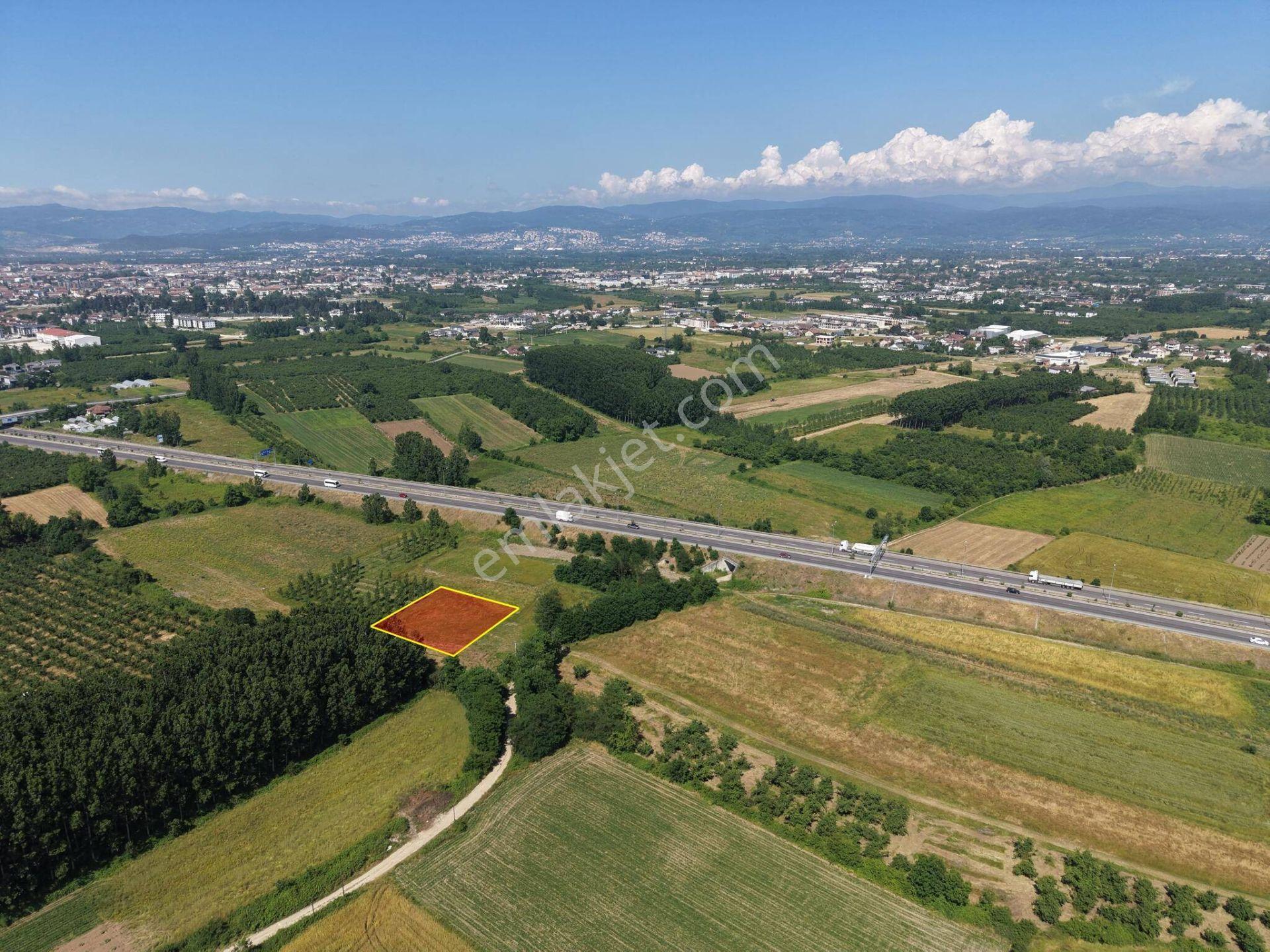 Darıcı Mahallesi'nde 1000 M2 Satılık Arsa - Görsel 35