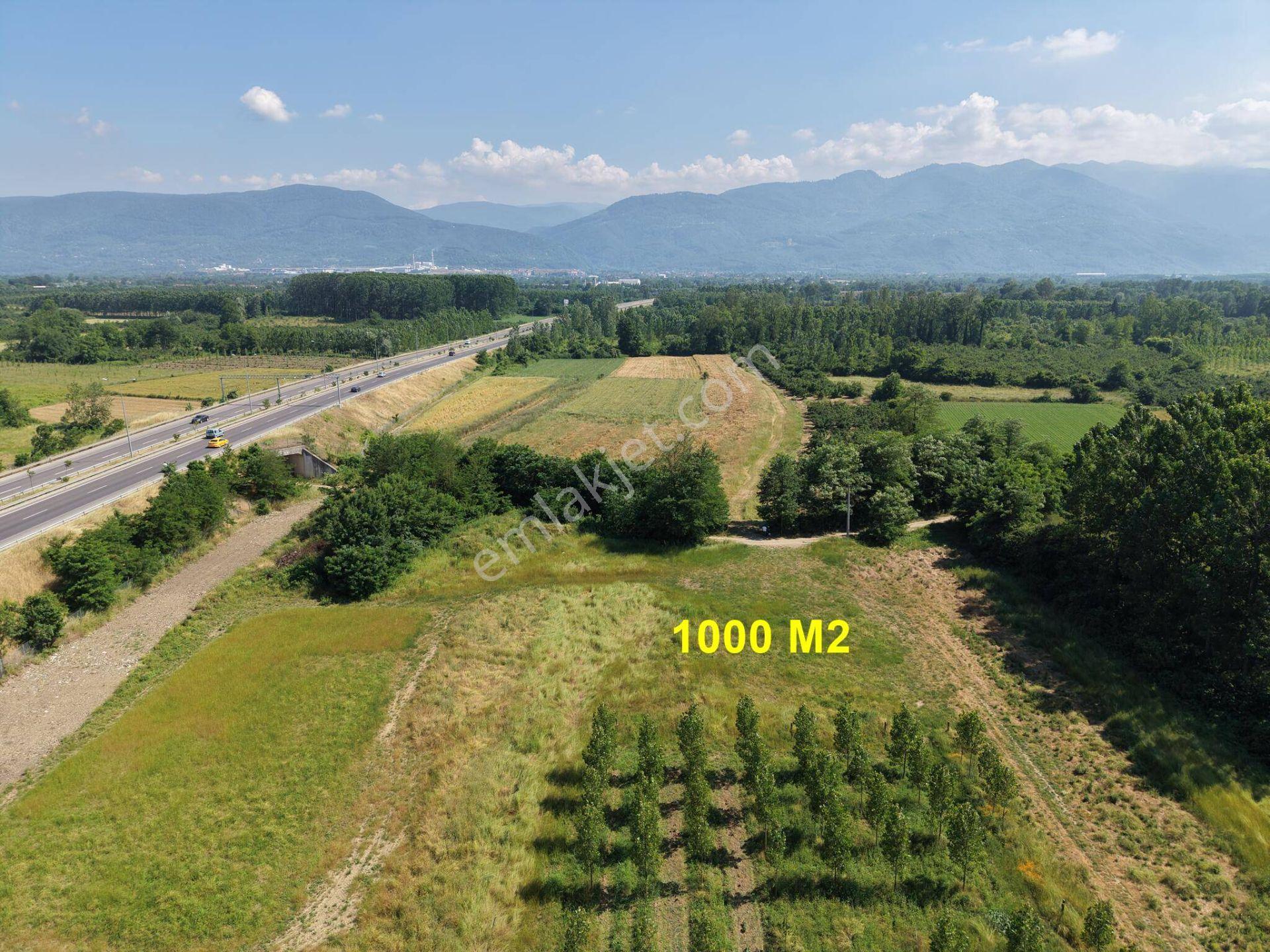 Darıcı Mahallesi'nde 1000 M2 Satılık Arsa - Görsel 20