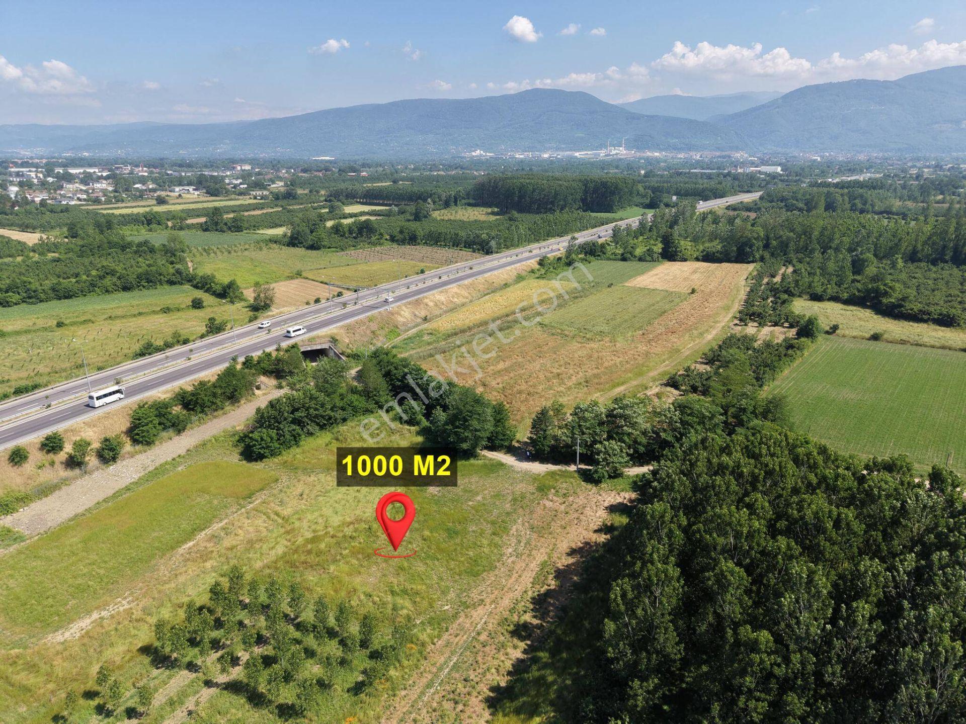 Darıcı Mahallesi'nde 1000 M2 Satılık Arsa - Görsel 4