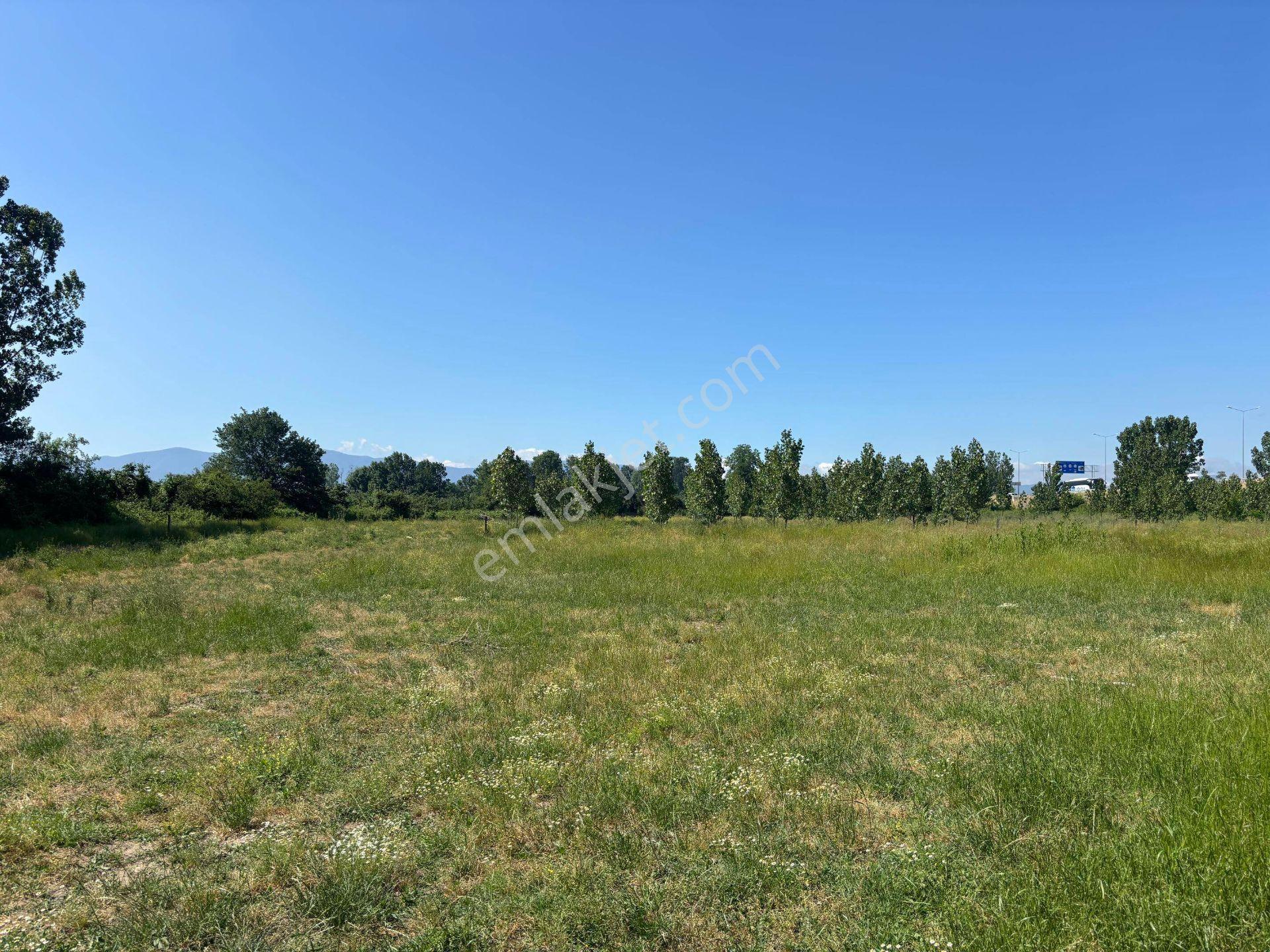 Darıcı Mahallesi'nde 1000 M2 Satılık Arsa - Görsel 14