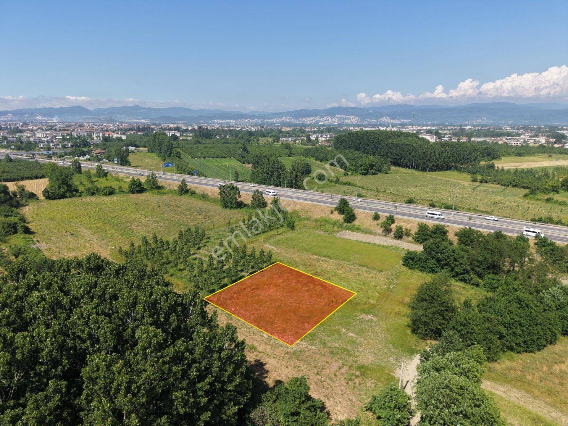Darıcı Mahallesi'nde 1000 M2 Satılık Arsa