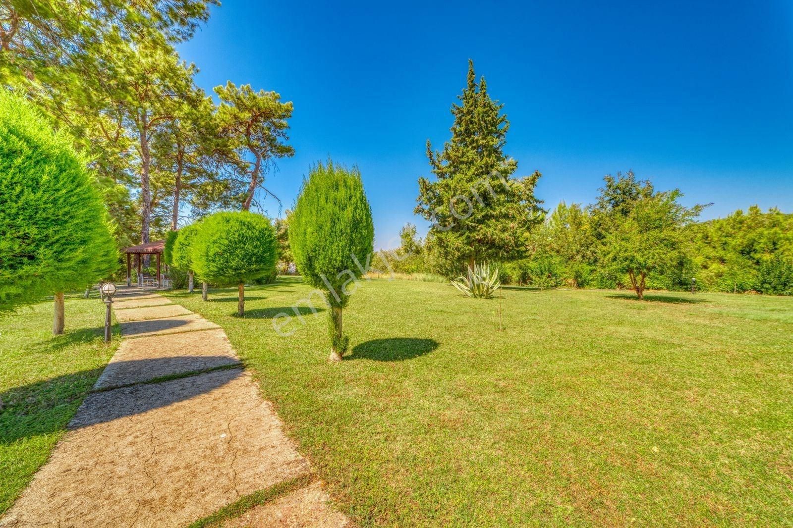 Avsallarda Doğa İçinde Satılık 3+1 Bahçeli Villa Denize Yakın - Görsel 17