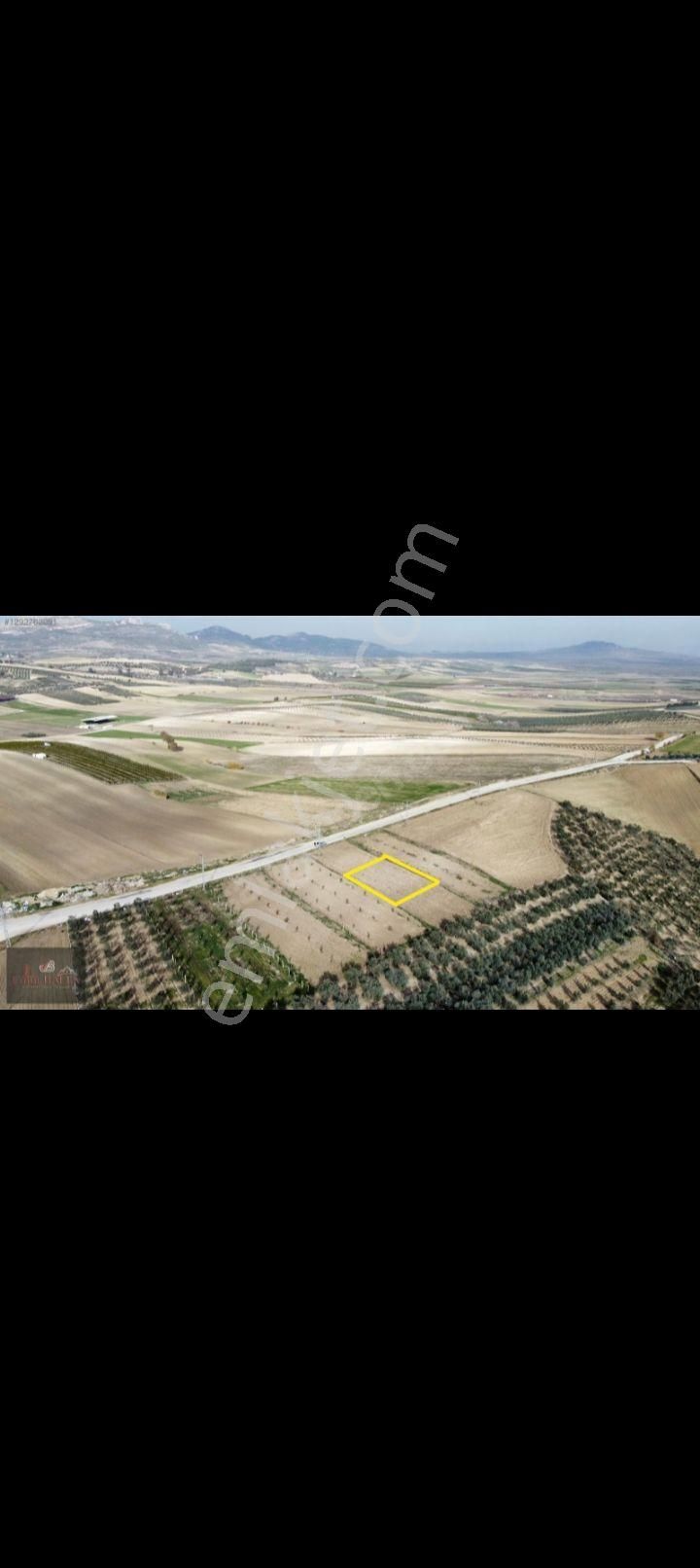 Ceyhan Sarımazıda Uygun Fiyata Arda - Görsel 2