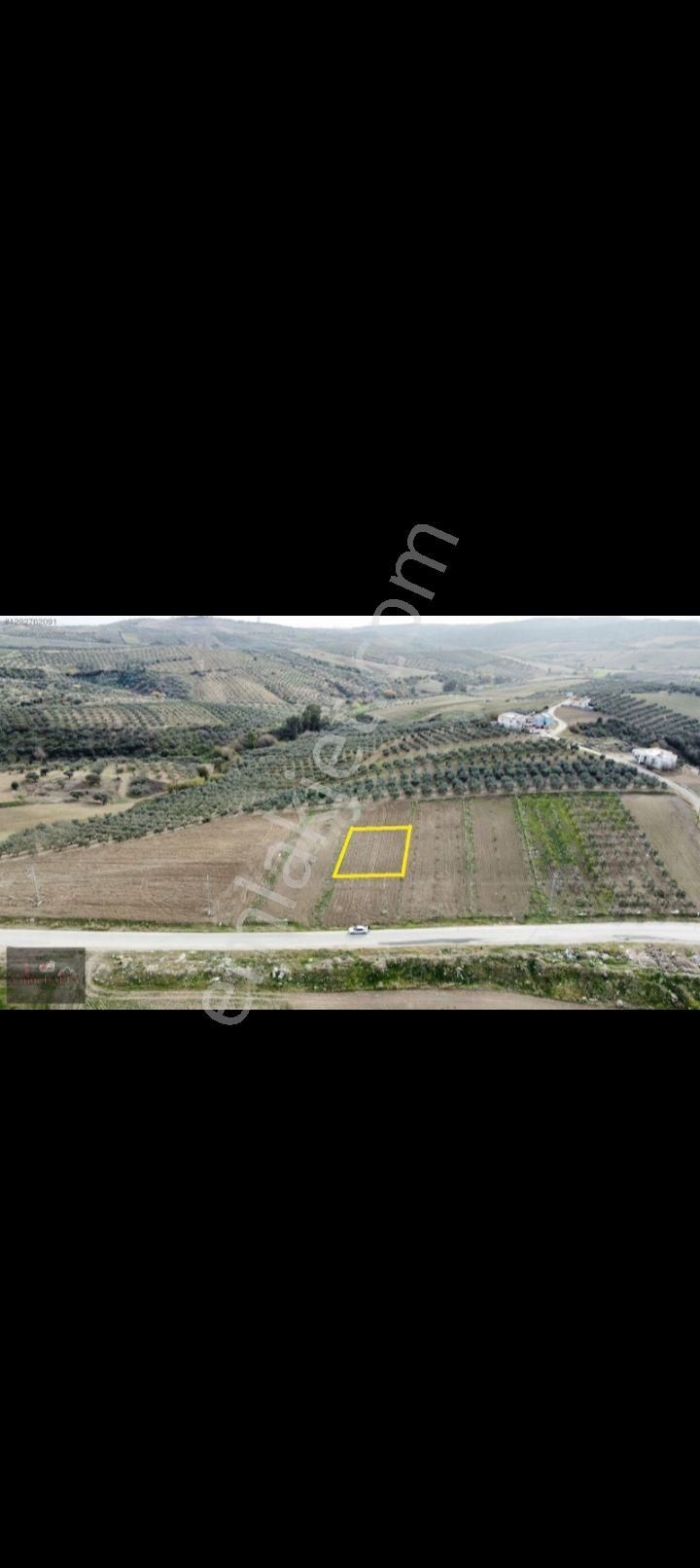 Ceyhan Sarımazıda Uygun Fiyata Arda - Görsel 4