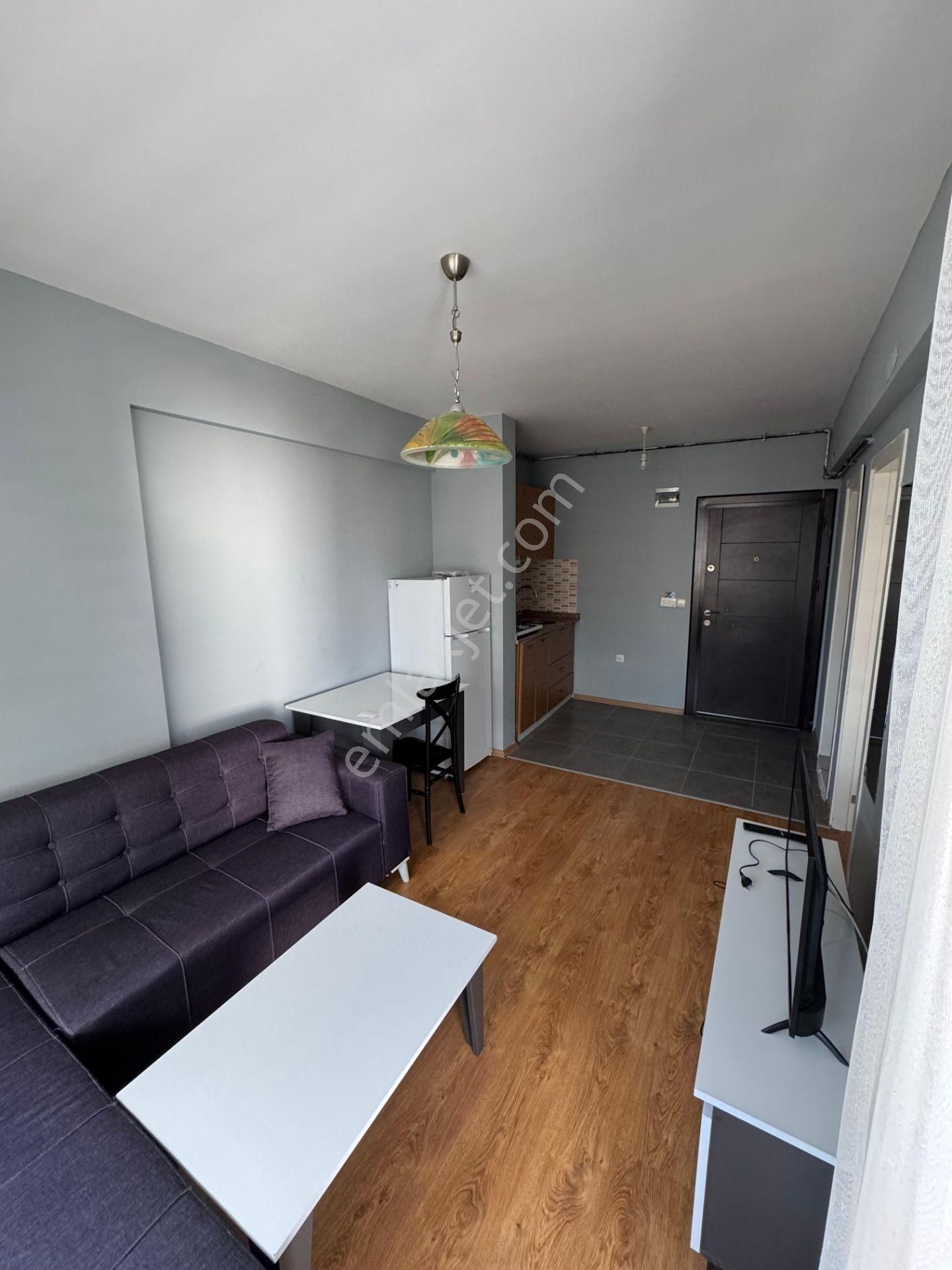 Bahar'dan Dumlupınar'da Kiralık Eşyalı Yeni Boyalı 1+1 Daire - Görsel 19