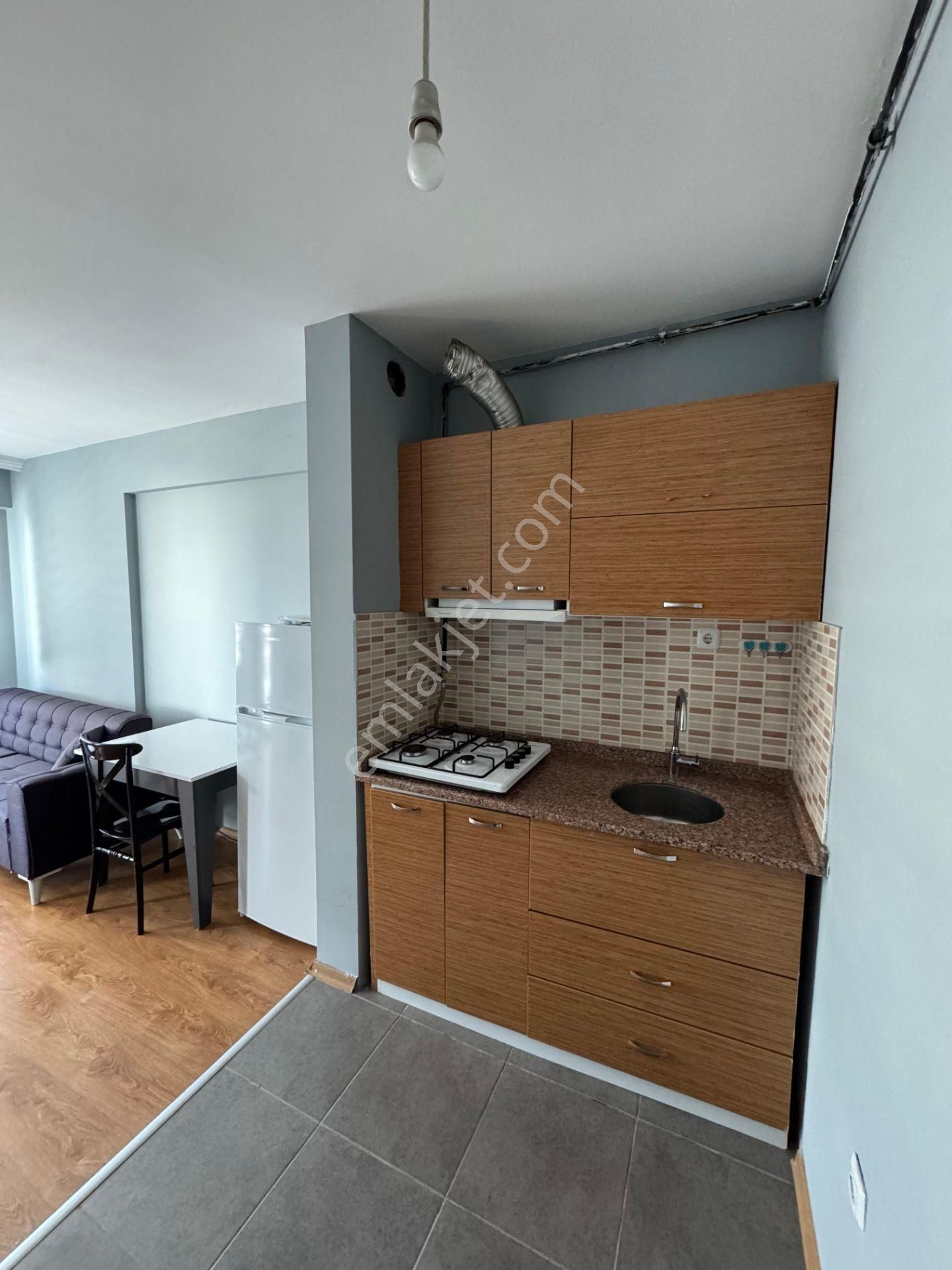 Bahar'dan Dumlupınar'da Kiralık Eşyalı Yeni Boyalı 1+1 Daire - Görsel 4