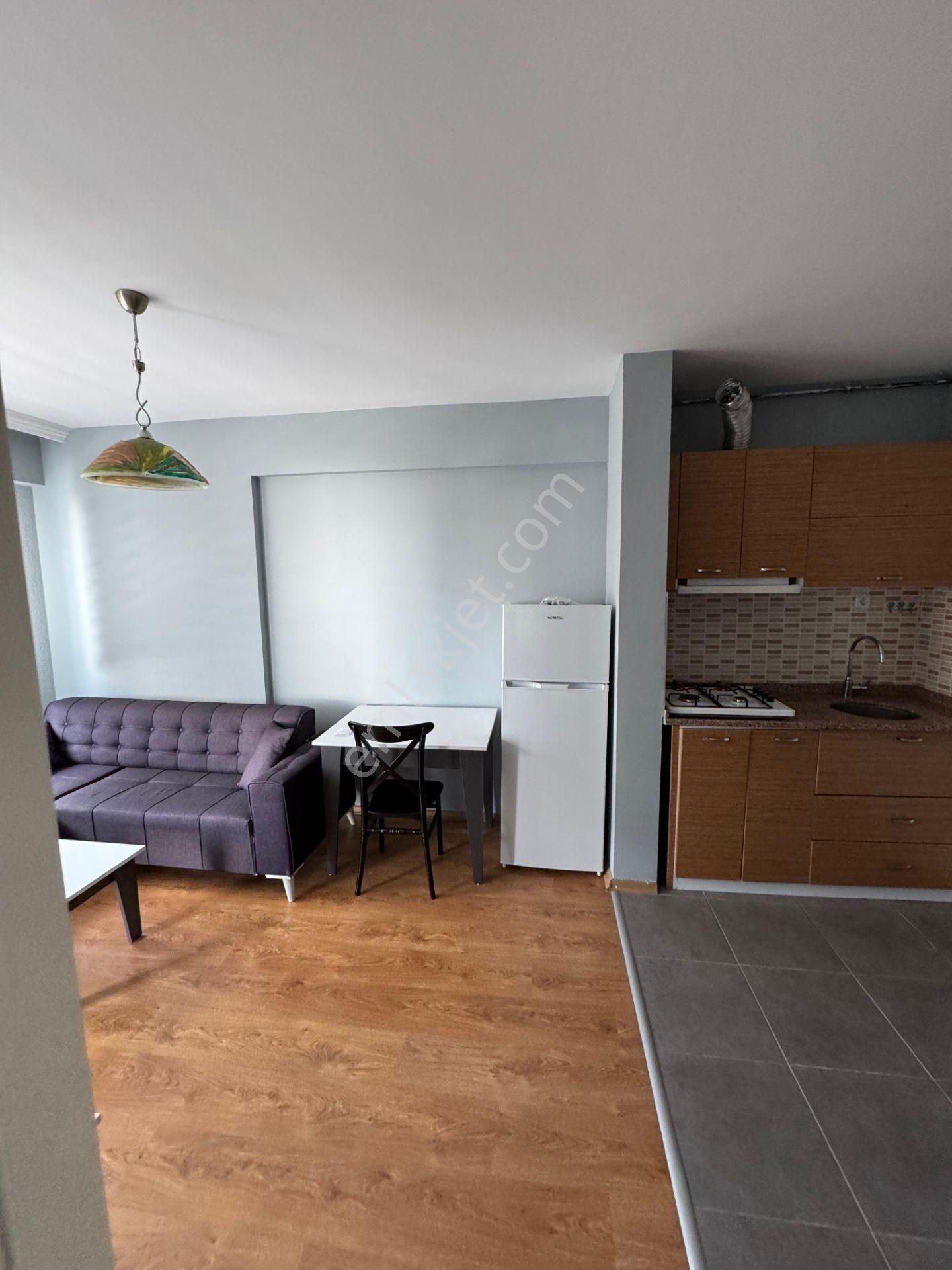 Bahar'dan Dumlupınar'da Kiralık Eşyalı Yeni Boyalı 1+1 Daire - Görsel 11